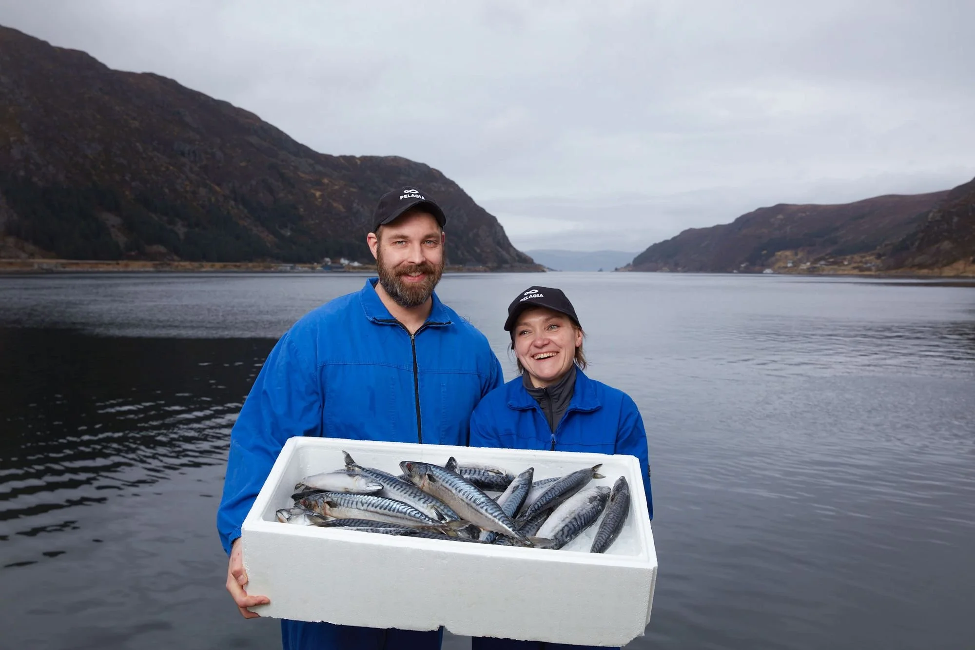 Regenerative heat for circular seafood value chains
