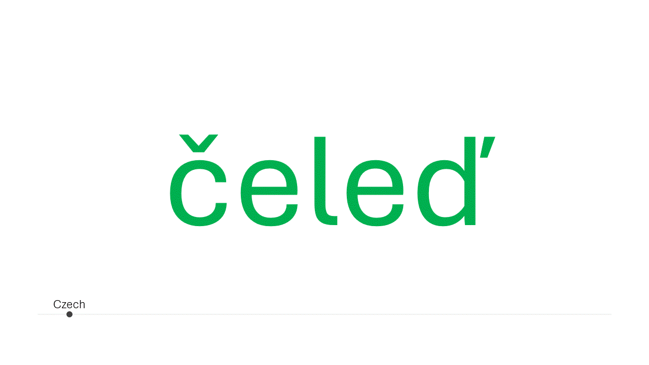 Člověk (person, human)