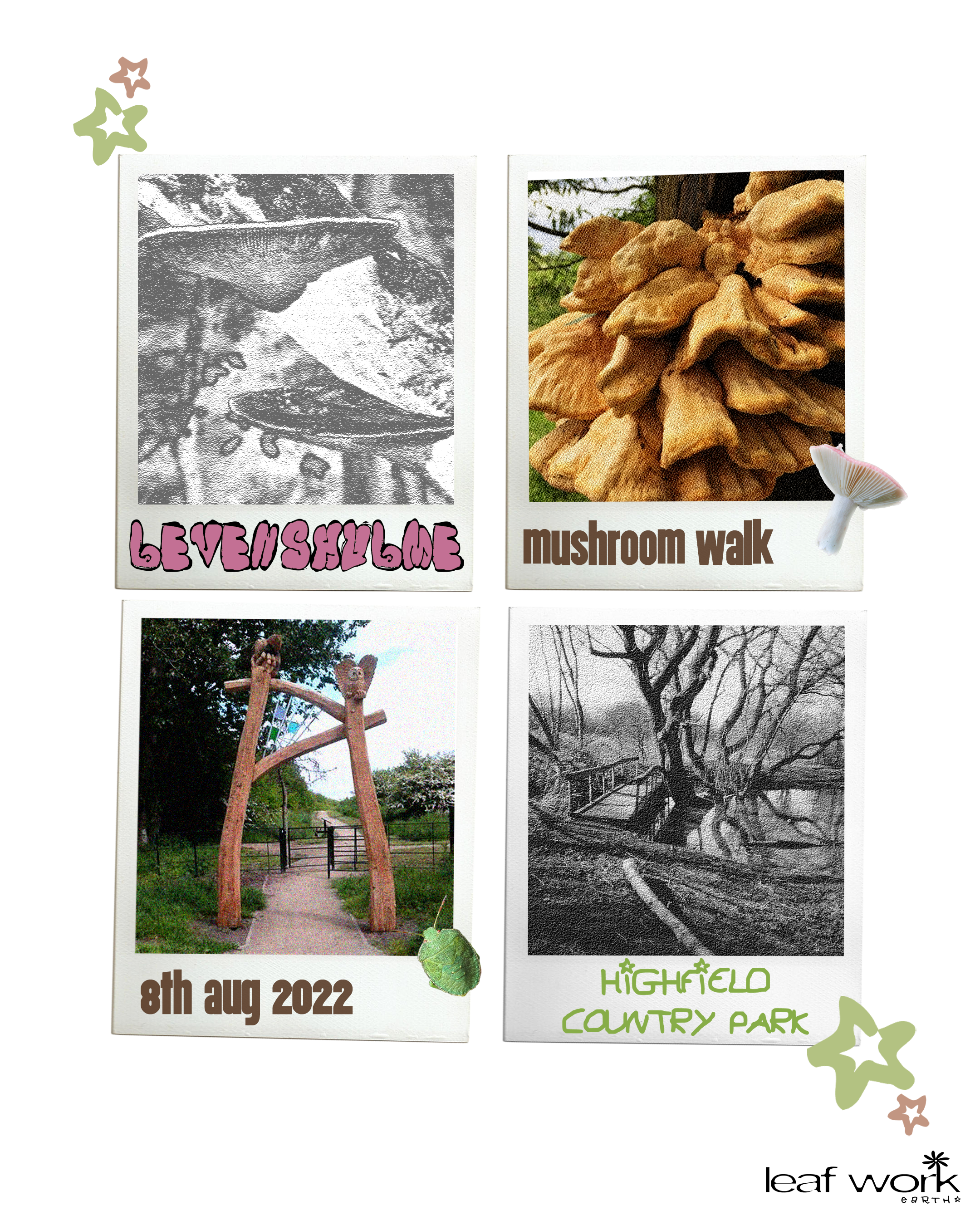 Levenshulme - mushroom walk test5.png