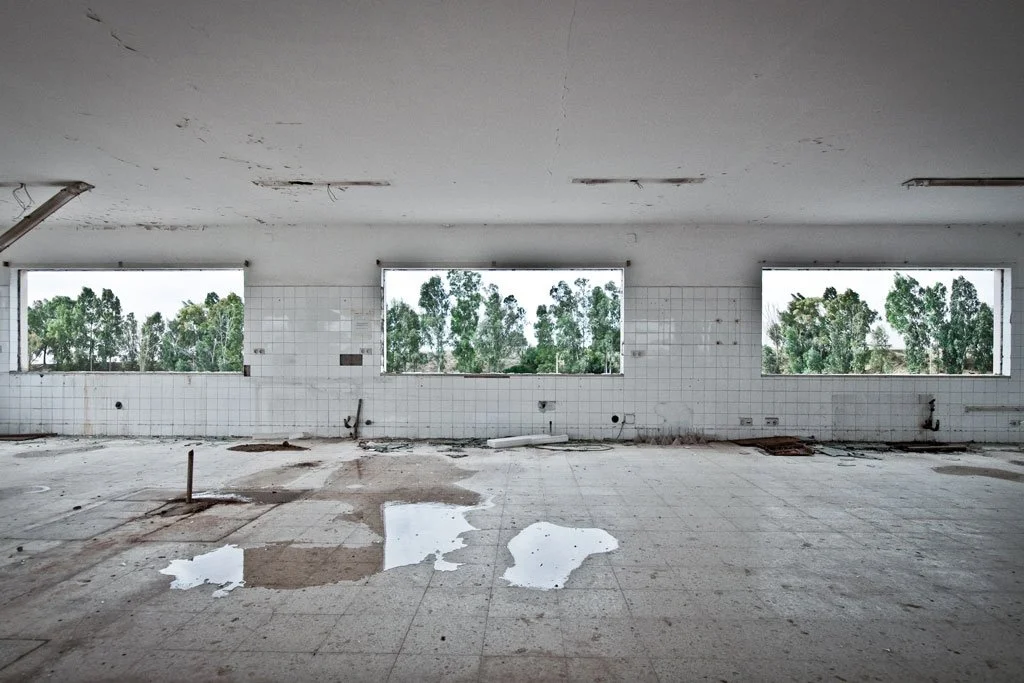 Sugar Factory - Personal