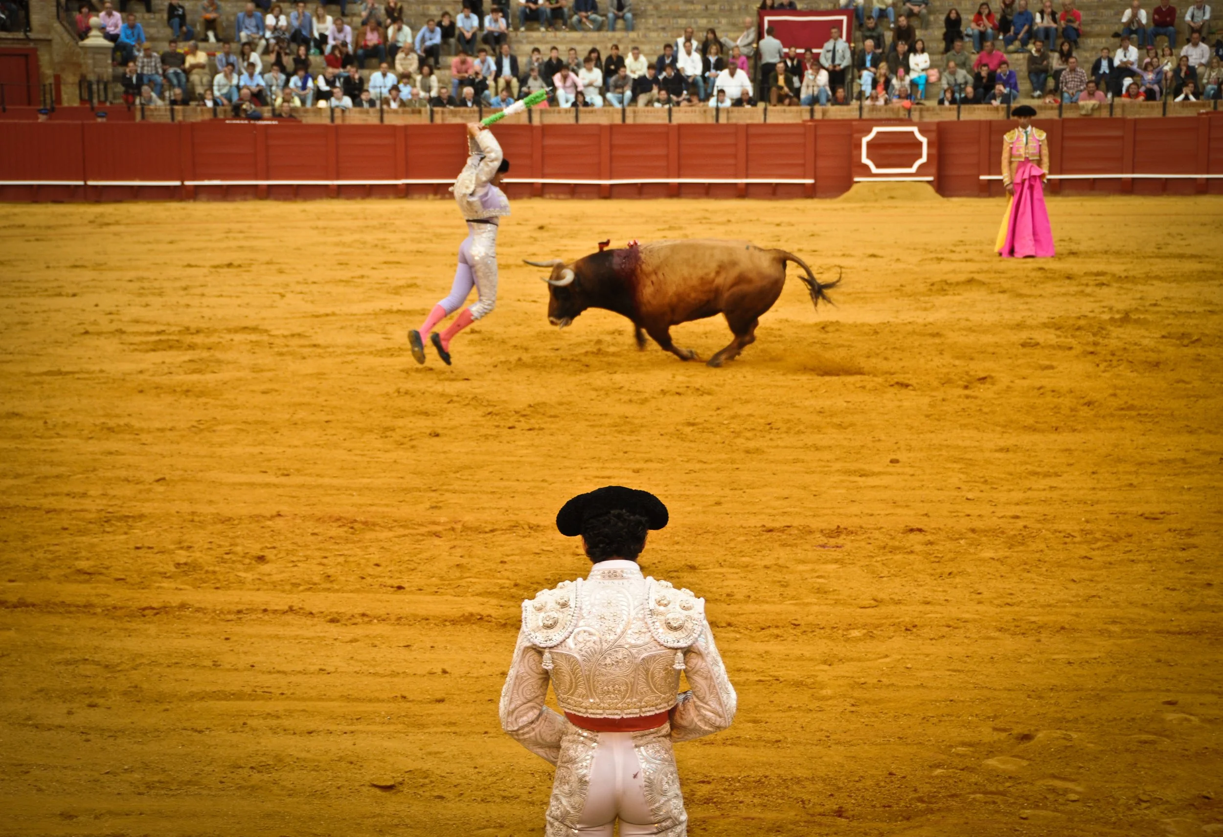 Beauty & Death in the Arena / Lifestyle