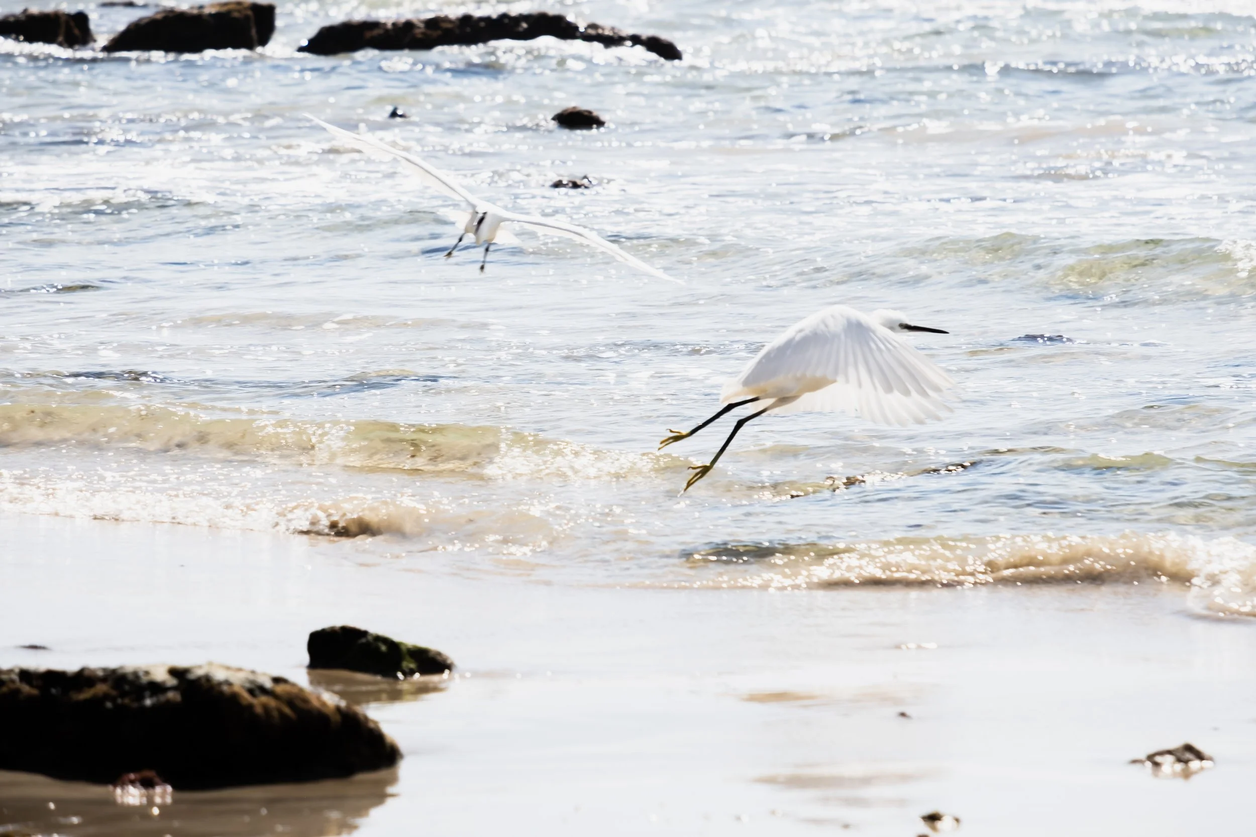 Bolonia - Serie Lifestyle