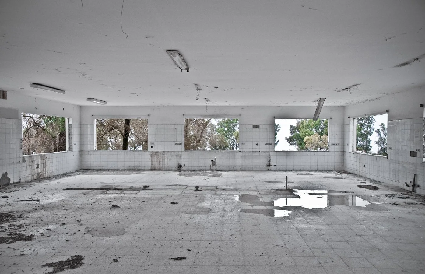 Sugar Factory, 2011