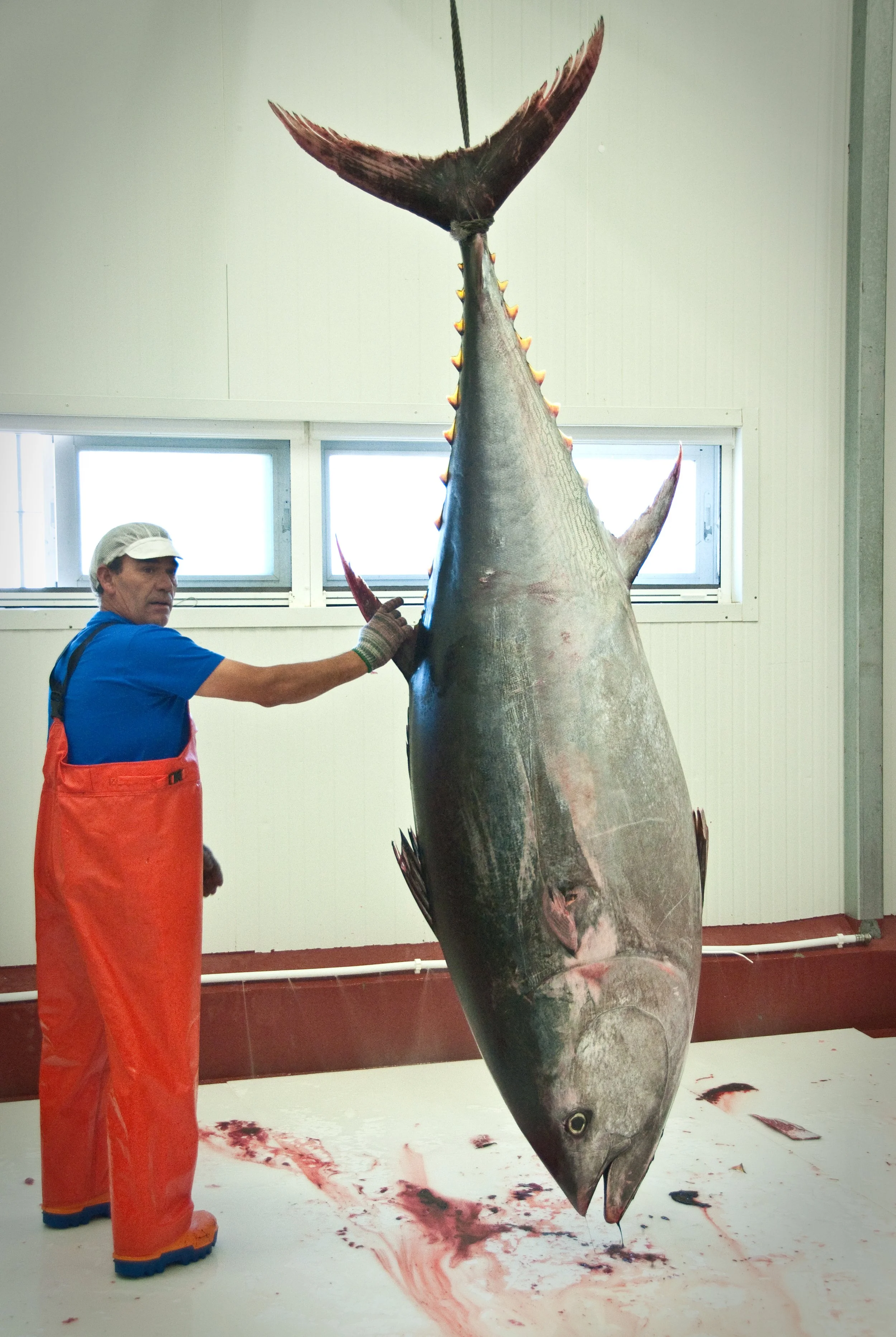 01 RONQUEO 11 (1 of 1).jpg