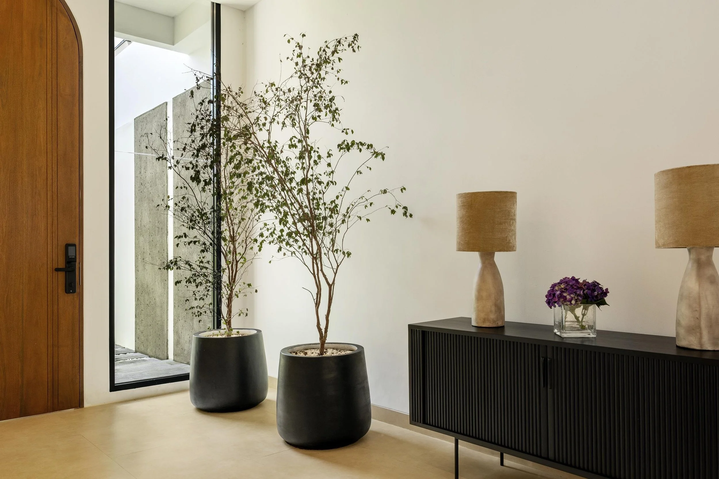Interior scene with two large potted plants, modern table lamps with beige shades, a black sideboard, a small purple flower arrangement in a glass vase, a wooden door on the left, and a large window letting in natural light.