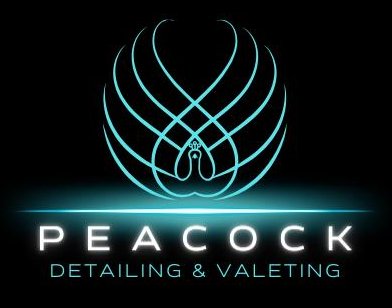 pdv logo.jpeg