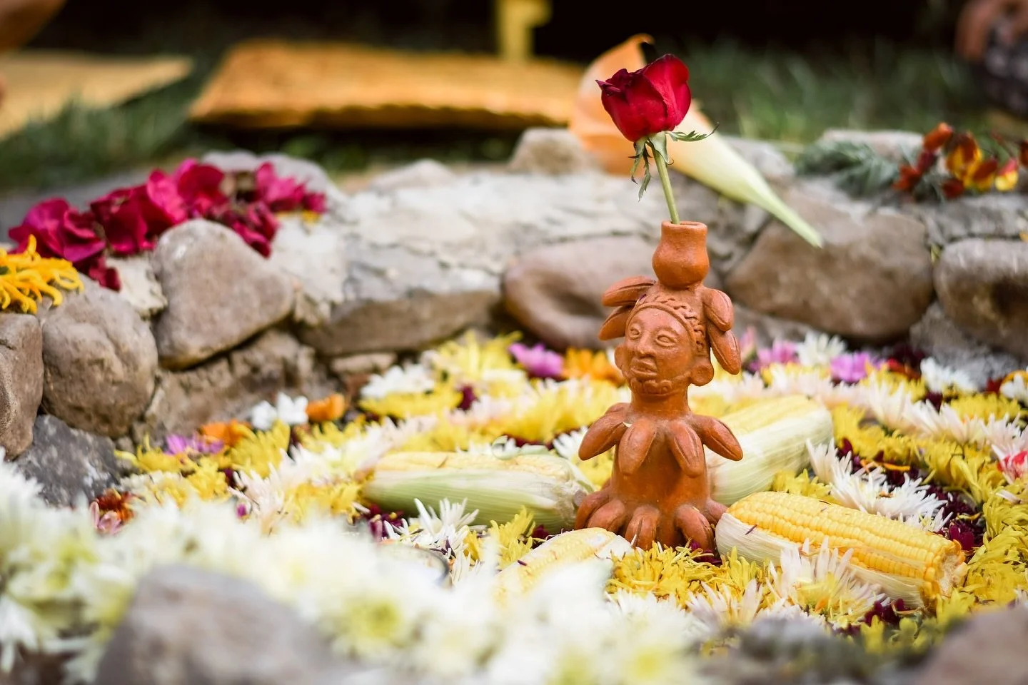 🔥 Starting the Year with Intention 🔥

As the flames rise, so do our spirits&mdash;welcoming 2025 with positivity, connection, and the power of movement. Here&rsquo;s to embracing growth, building community, and finding joy in every step of the jour