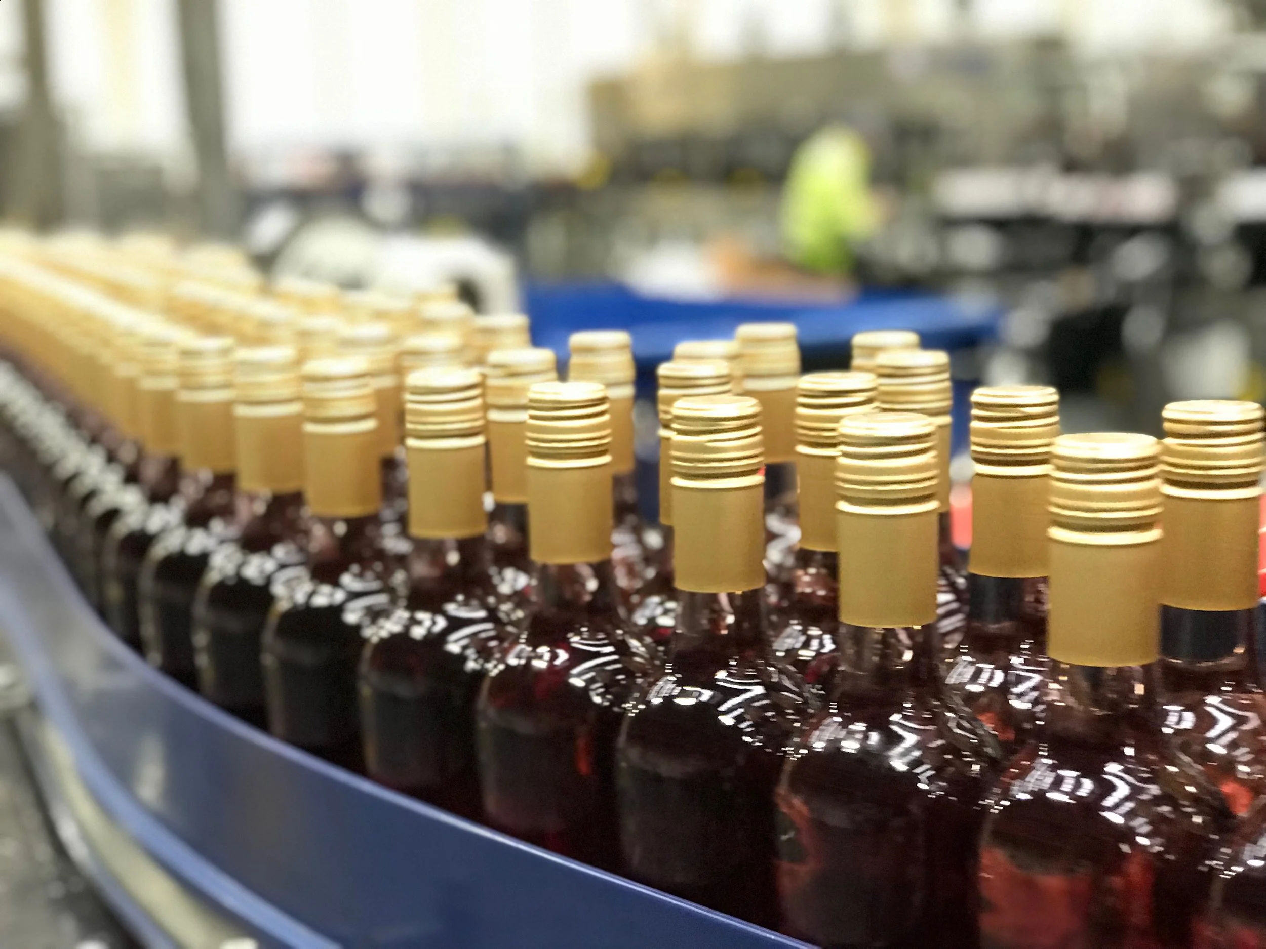 Workshop at Accolade Wines, Bristol