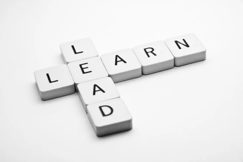 Learning to Lead