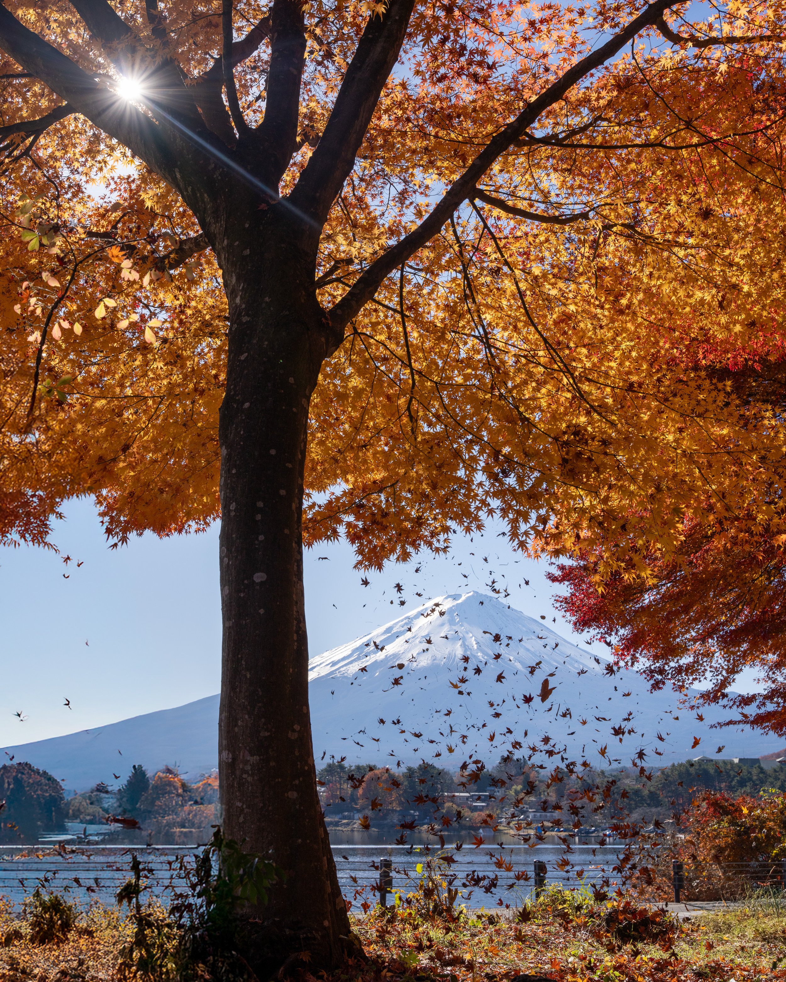 _DSC0293-Edit-2.jpg