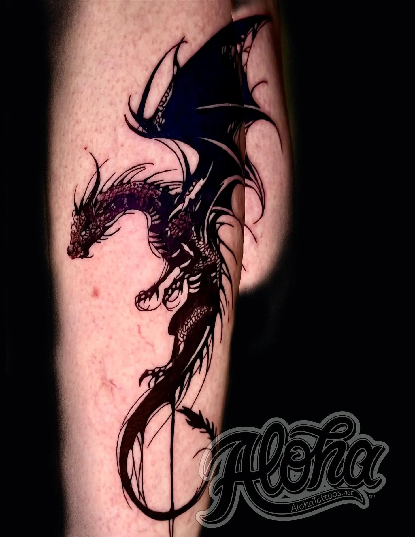 A huge thank you to my amazing client, Tracy, for trusting me with this &ldquo;badass dragon&rdquo; tattoo! This piece was an absolute blast to create, and I&rsquo;m stoked to take on more bold blackwork designs in the future. Let&rsquo;s keep the in