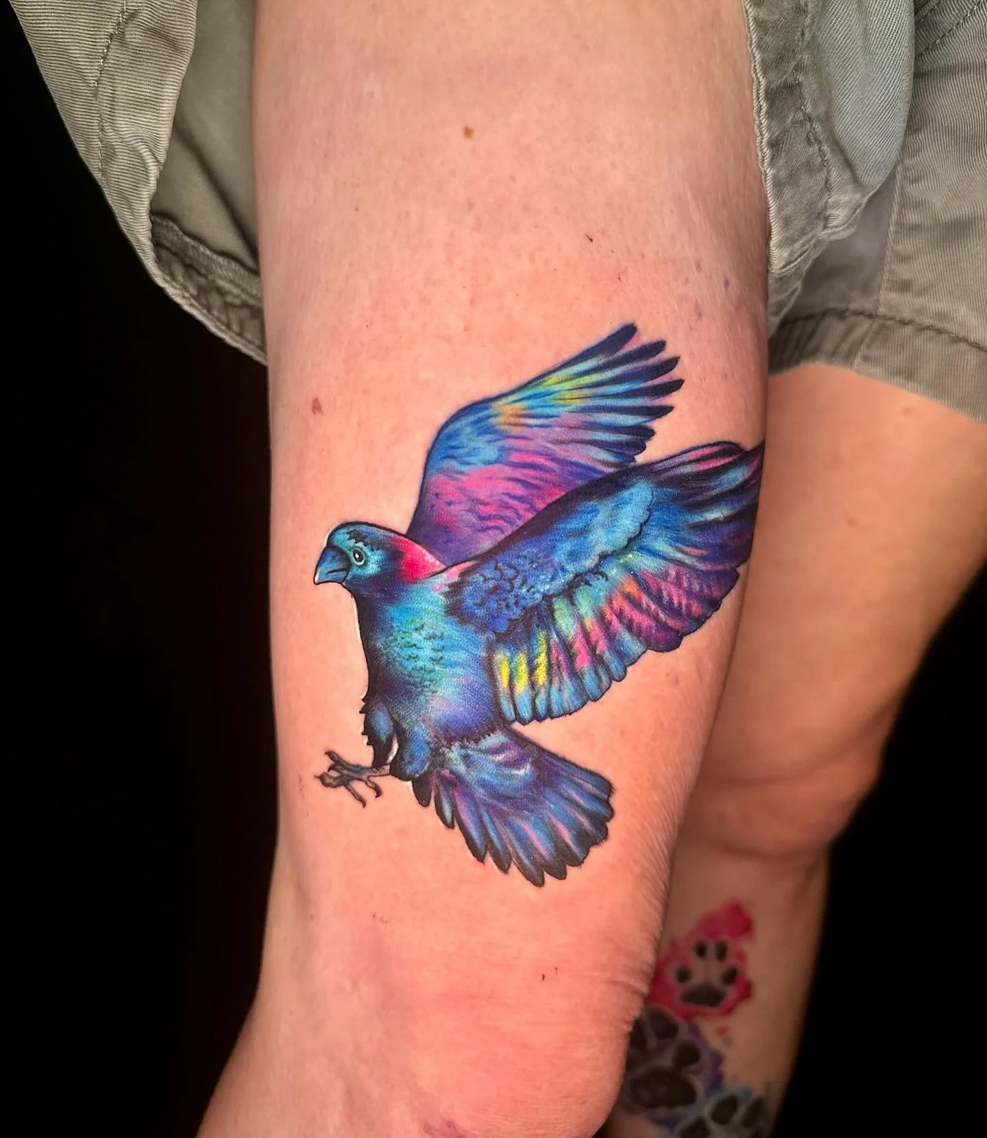Check out some fantastic color work by our artist @paul_tattoo.art! He loves working with color and can bring any vision you have to life. Check him out and reach out for your next color tattoo!
.
.
.
.
#tattoo #colortattoo #2025tattoo #birdtattoo #u
