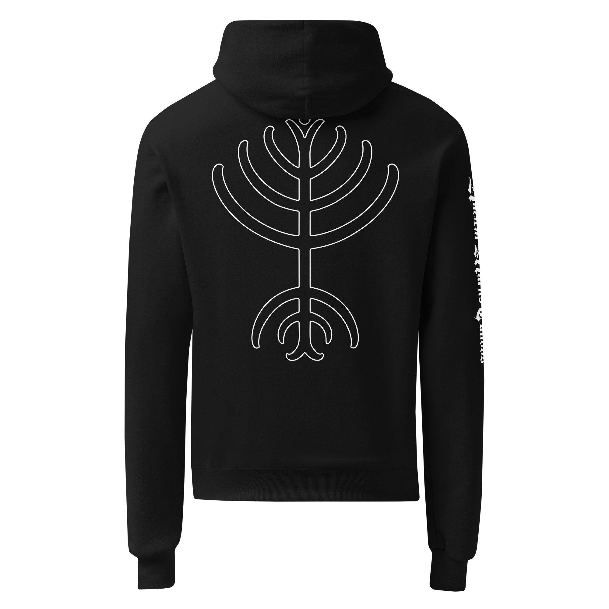 unisex-champion-hoodie-black-back-693b5f68dfc9d.png
