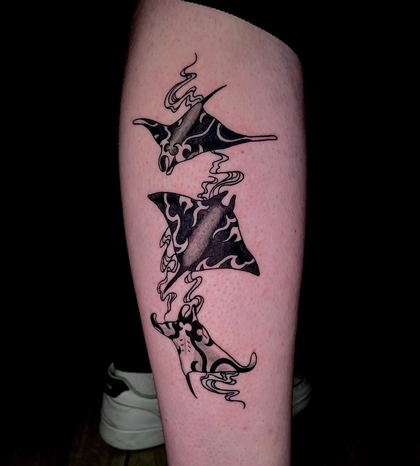 Some manta rays for @kadekolbian thanks for a fun piece for your first tattoo!
.
.
.
#mantaraytattoo #blackandgrey #blackandgreytattoo #animaltattoo #utahtattooartist