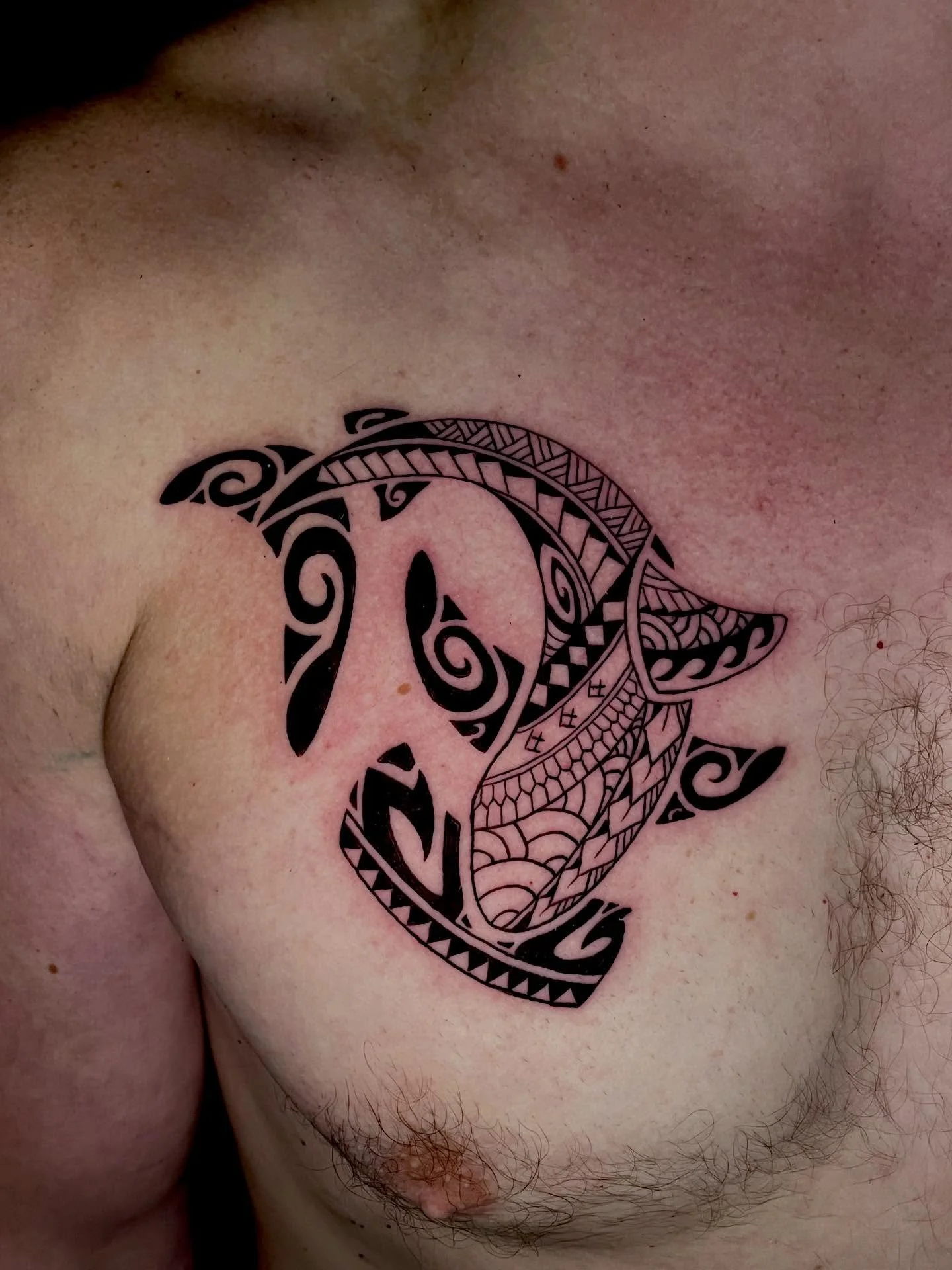 The start of a half sleeve/chest tribal. So excited to finish this one up!
.
.
.
#blacktattoo #tribaltattoo #polytribaltattoo #utahtattooartist #slcink