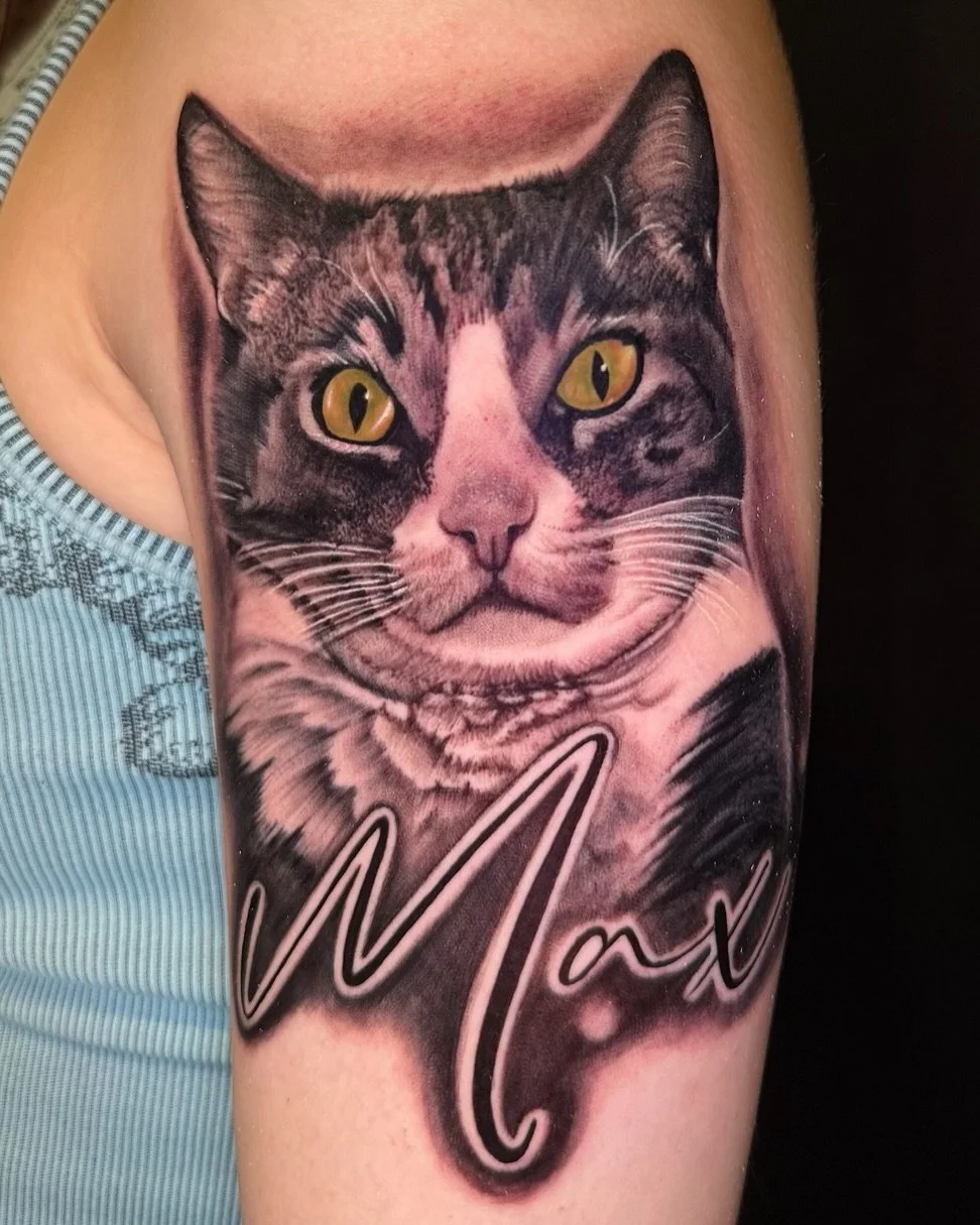 In loving memory of Max❤️&zwj;🩹🐈
-
-
- Artist: @deadsoul.ink 🔥
- Aloha Tattoos🌺📍
- Walk ins welcome everyday ✨
-
-
-
-
#cattattoo #memorialtattoo #realismtattoo #catmemorialtattoo #saltlaketattooartist