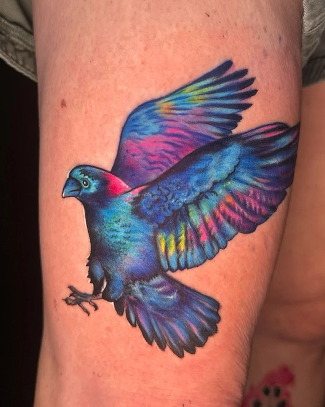 Check out this stunning colorful crow 🐦&zwj;⬛ done here at @alohasaltlake 😍

- Aloha Tattoos📍🌴
- Walk ins and Appointments Available Daily ✨
- AfterPay Available ✨
-
-
-
-
-
#colortattoo #crowtattoo #saltlakecitytattooartist #coloranimaltattoo #c