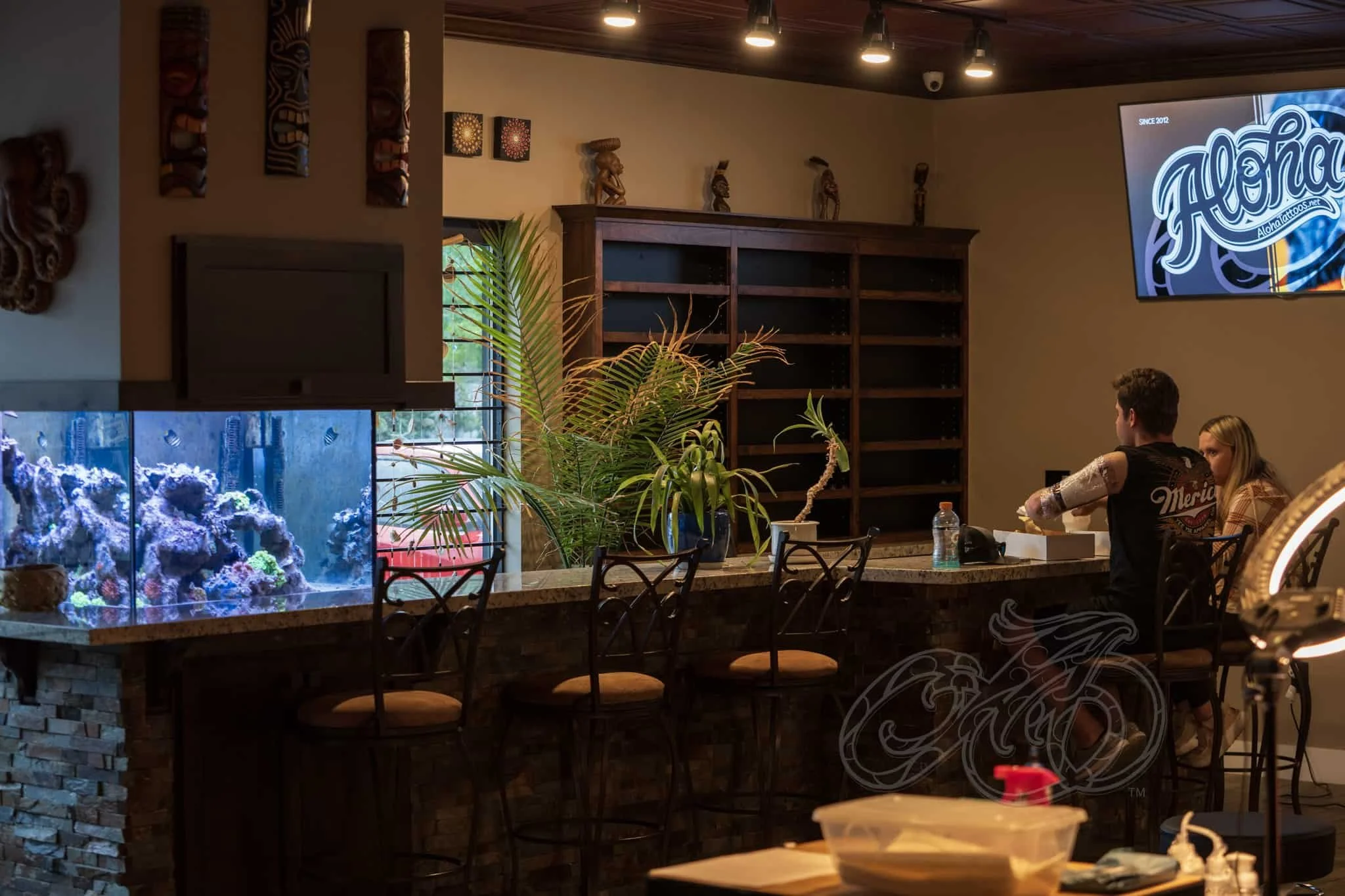 Interior de un bar o restaurante acogedor con un gran acuario lleno de corales y peces de colores, una chimenea, una ventana con vegetación en el exterior, decoración en madera, plantas y dos personas sentadas en la barra del bar.