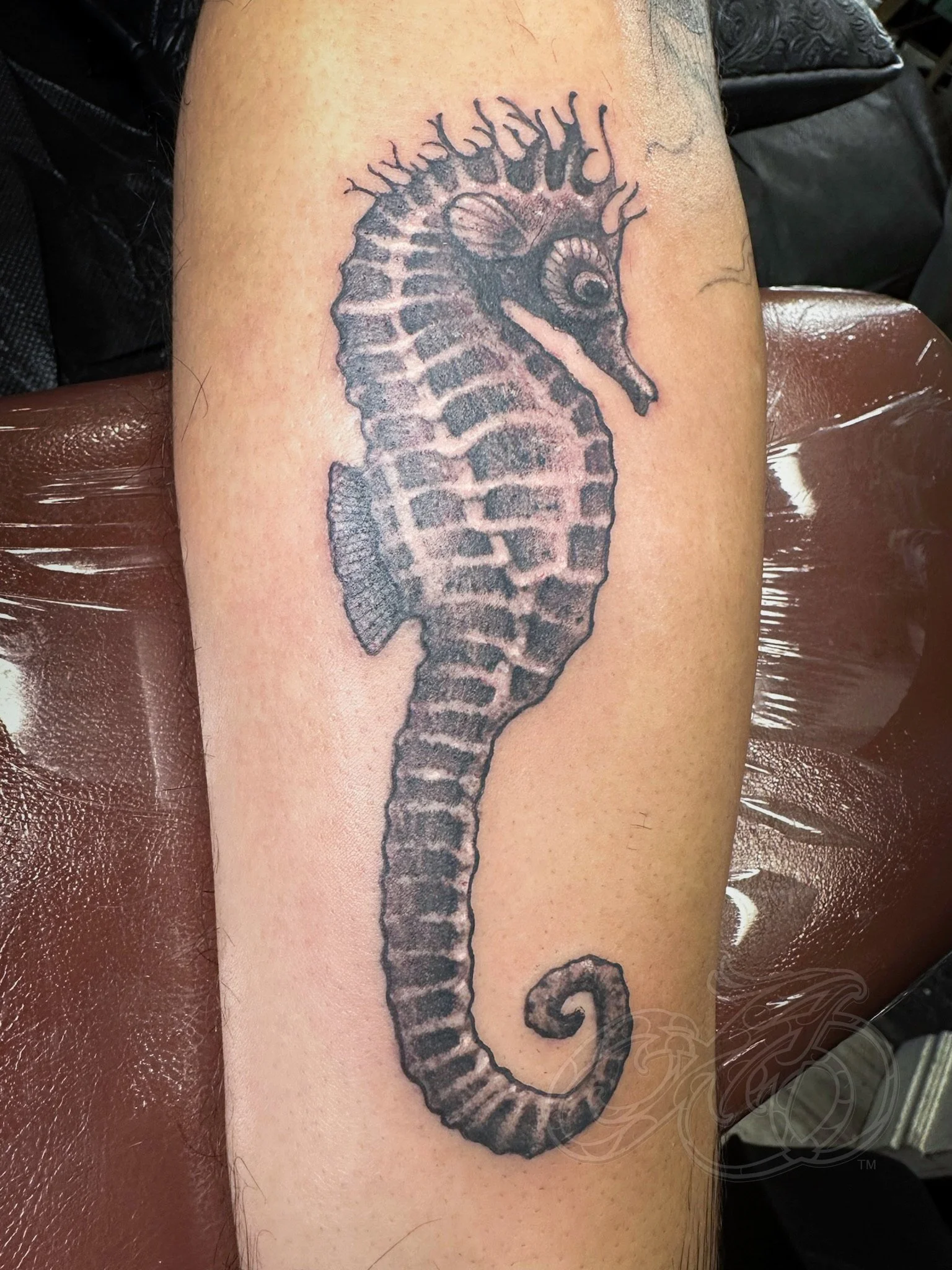 Sea Horse Tattoo