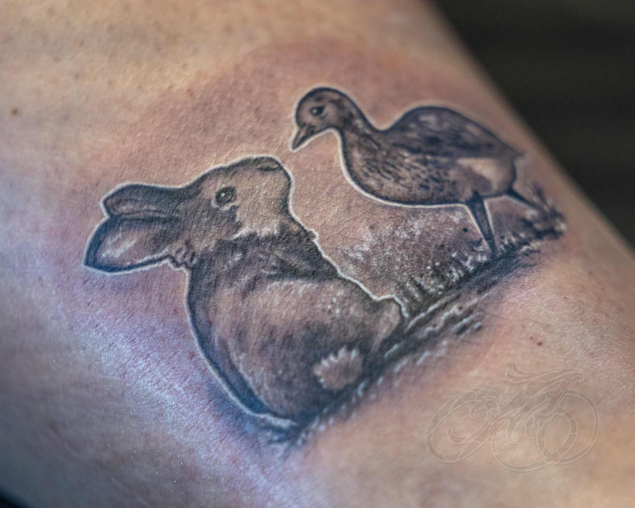 AT.PO.DuckBird-2.jpg