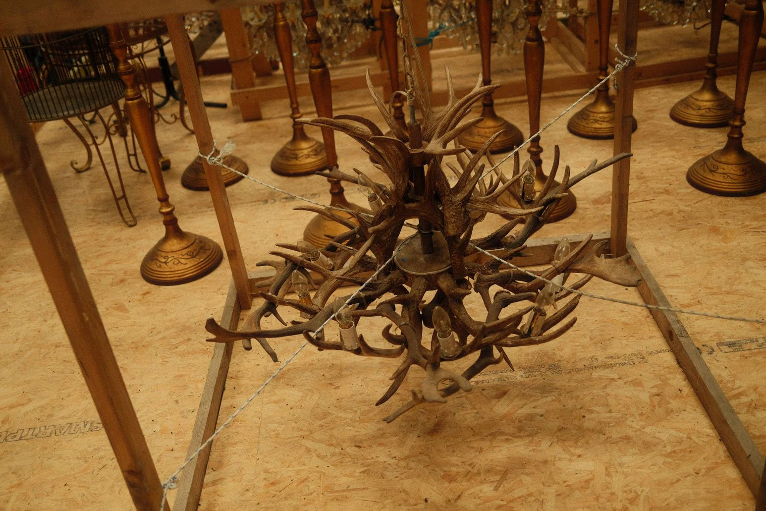 DSCF8893.jpg