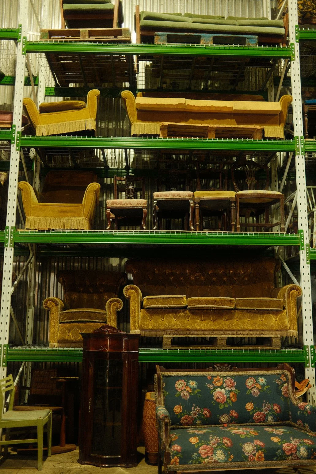 DSCF8451.jpg