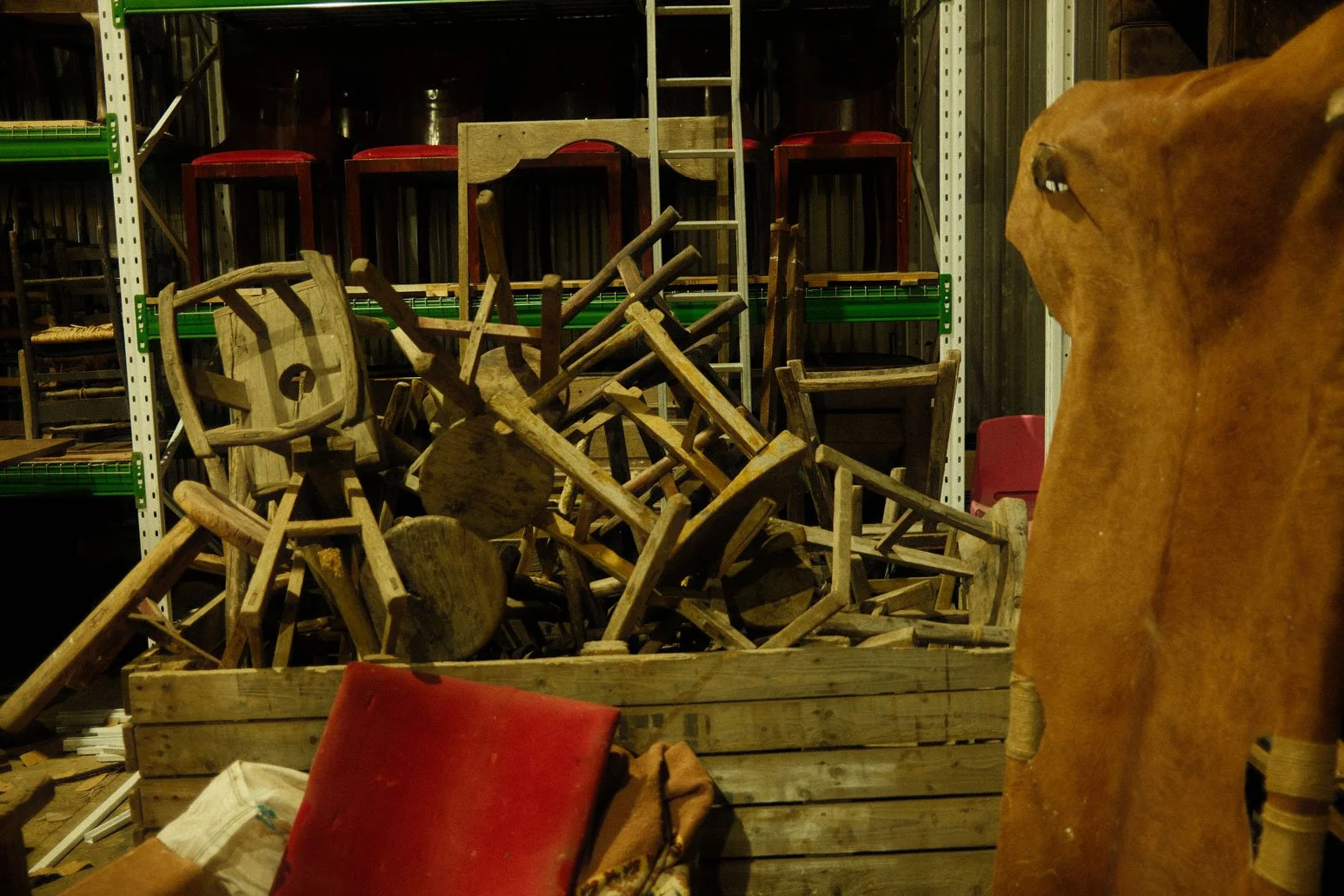 DSCF8480.jpg