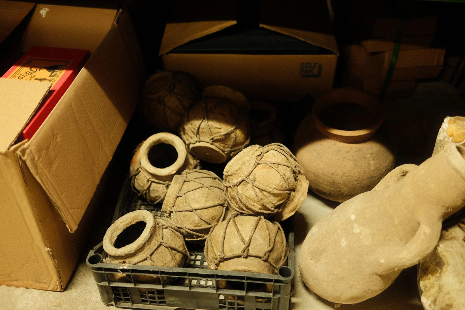 DSCF8648.jpg