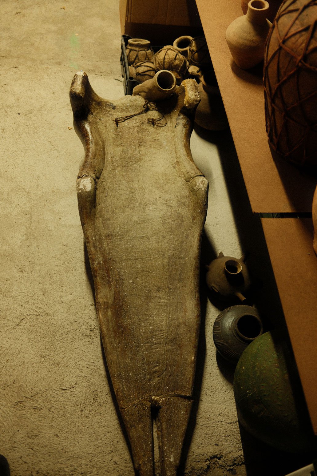 DSCF8645.jpg