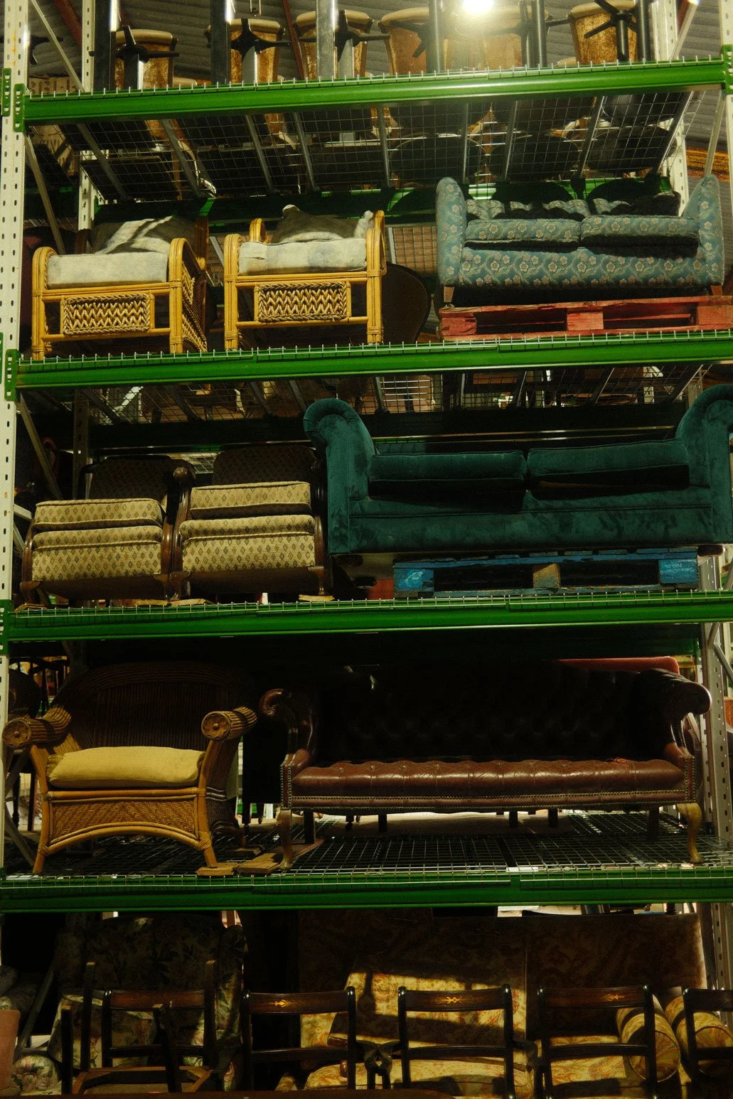 DSCF8460.jpg