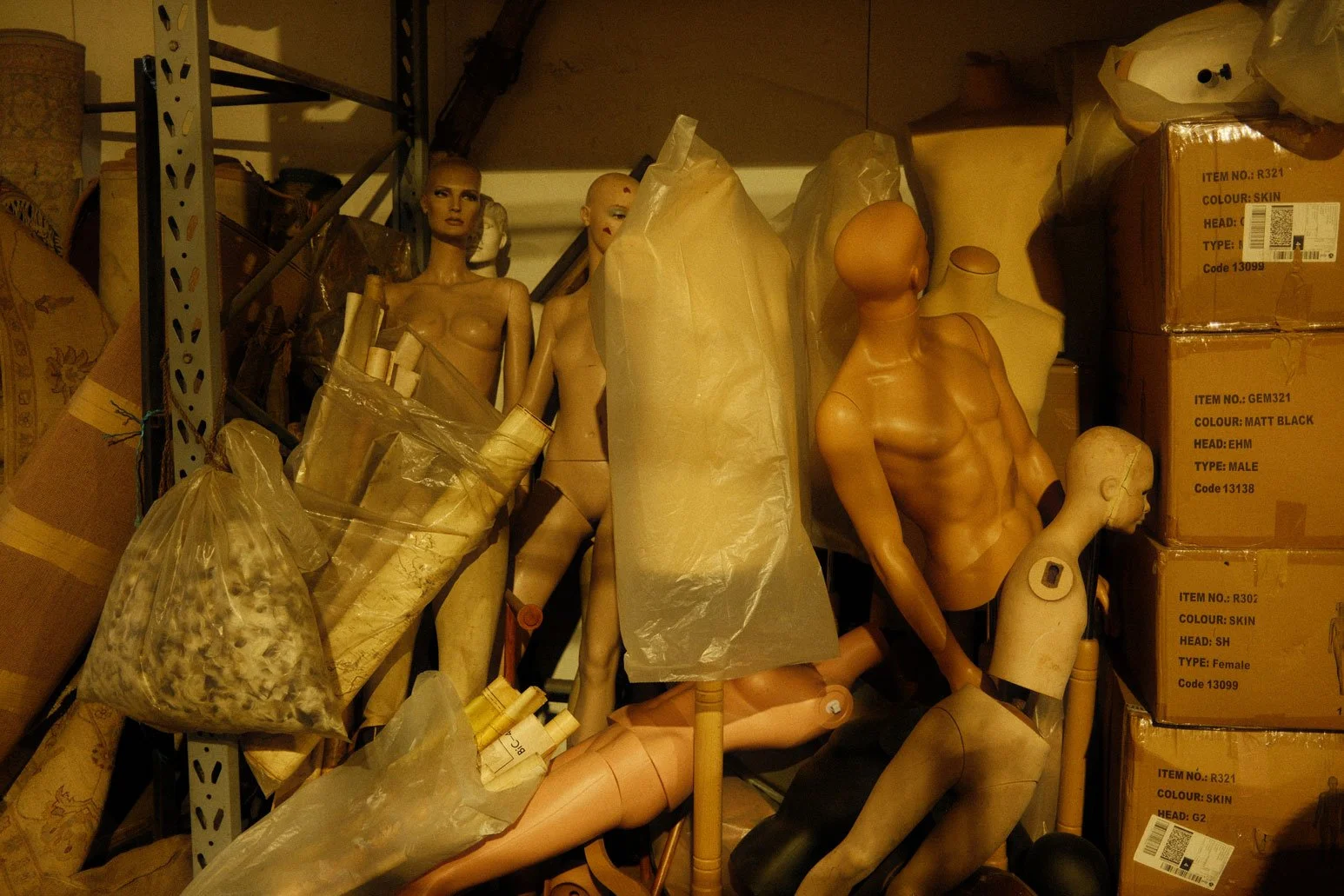 DSCF8943.jpg