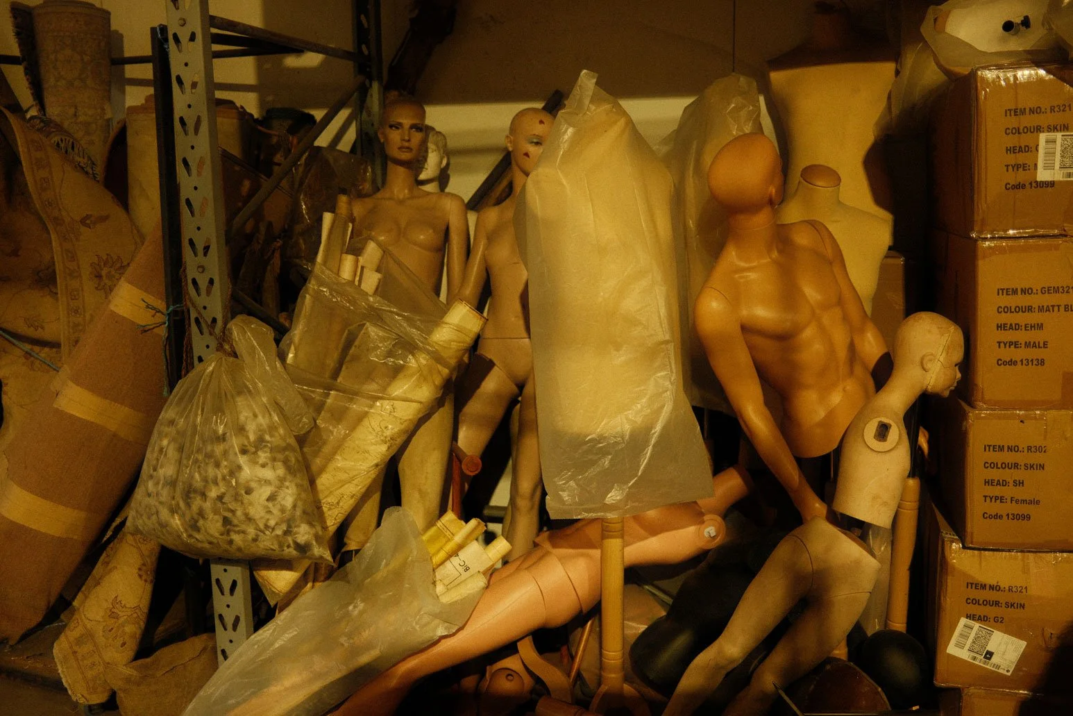 DSCF8942.jpg
