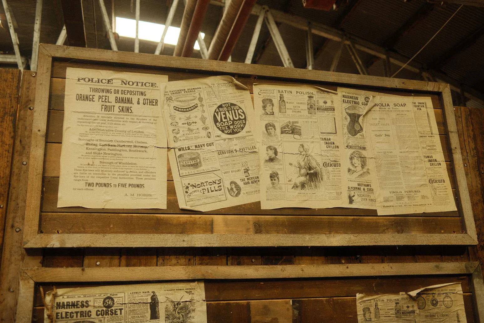 DSCF8551.jpg