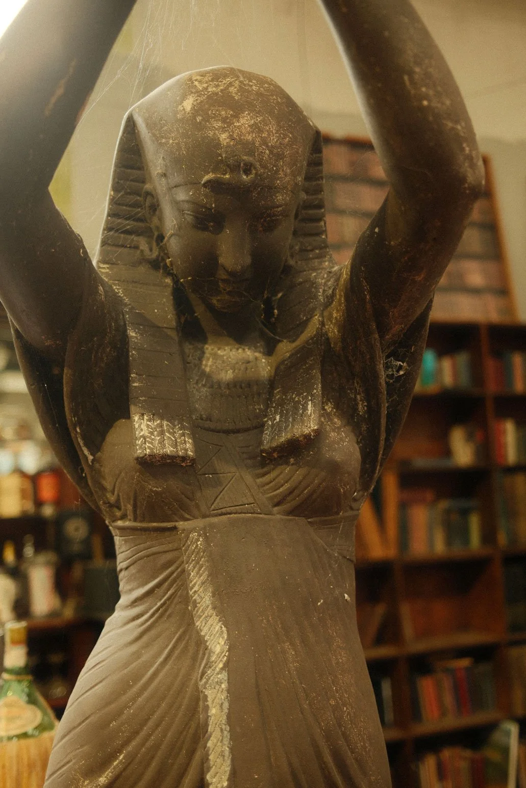DSCF8537.jpg
