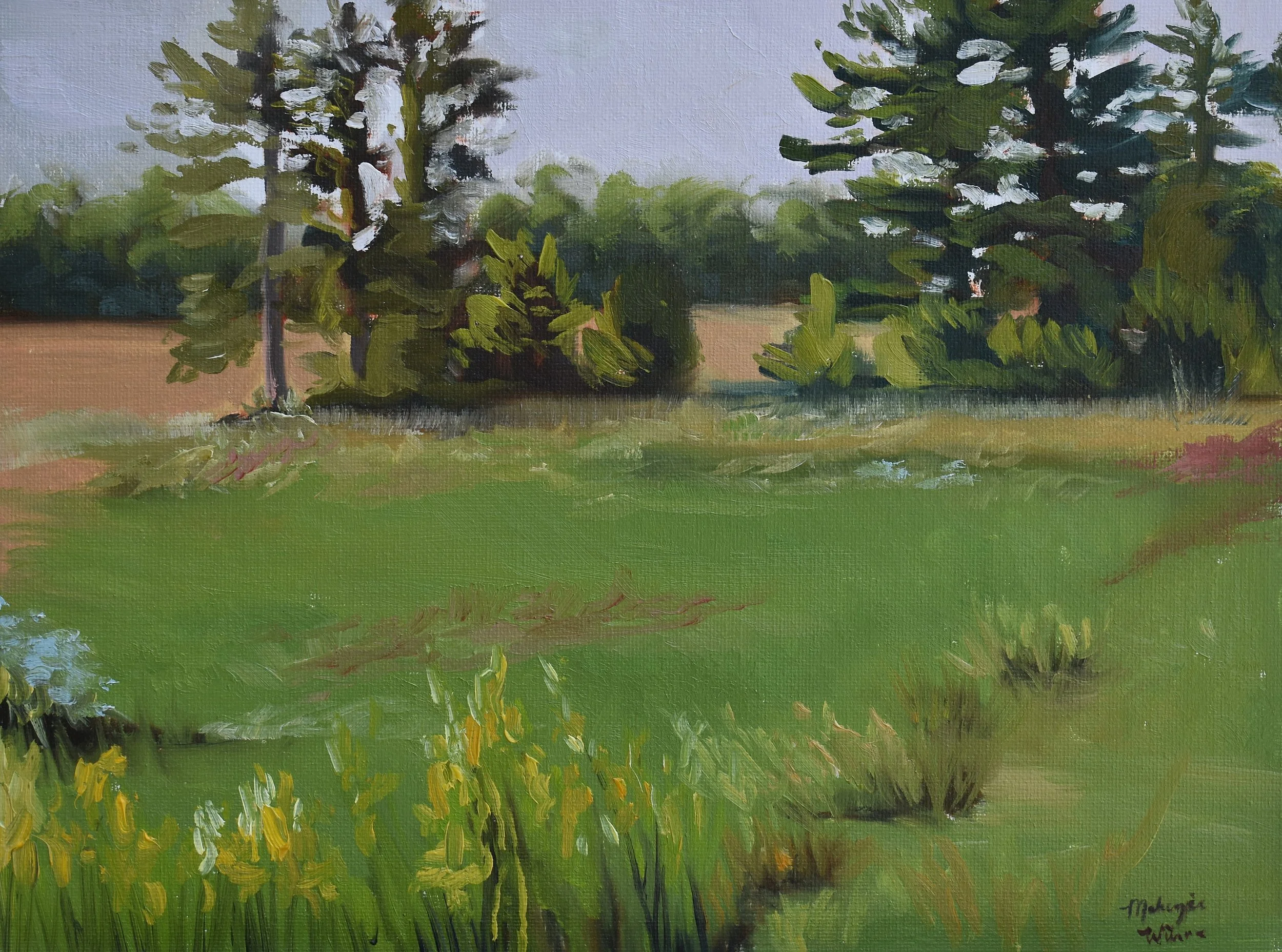 Landscape Study II.JPG