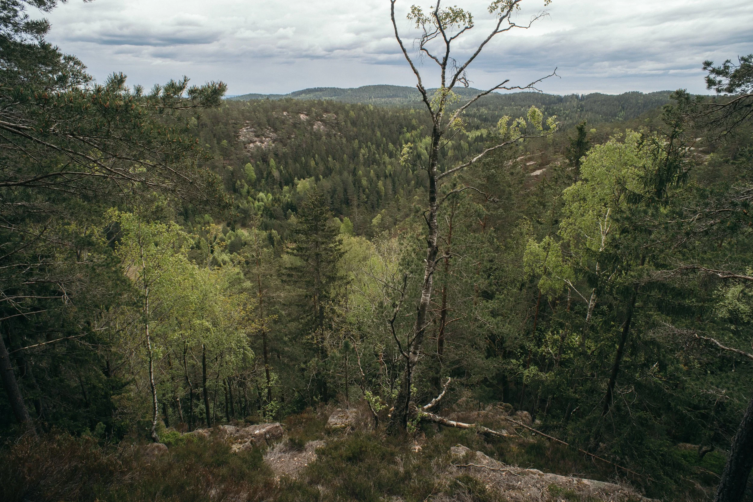 image3.jpg