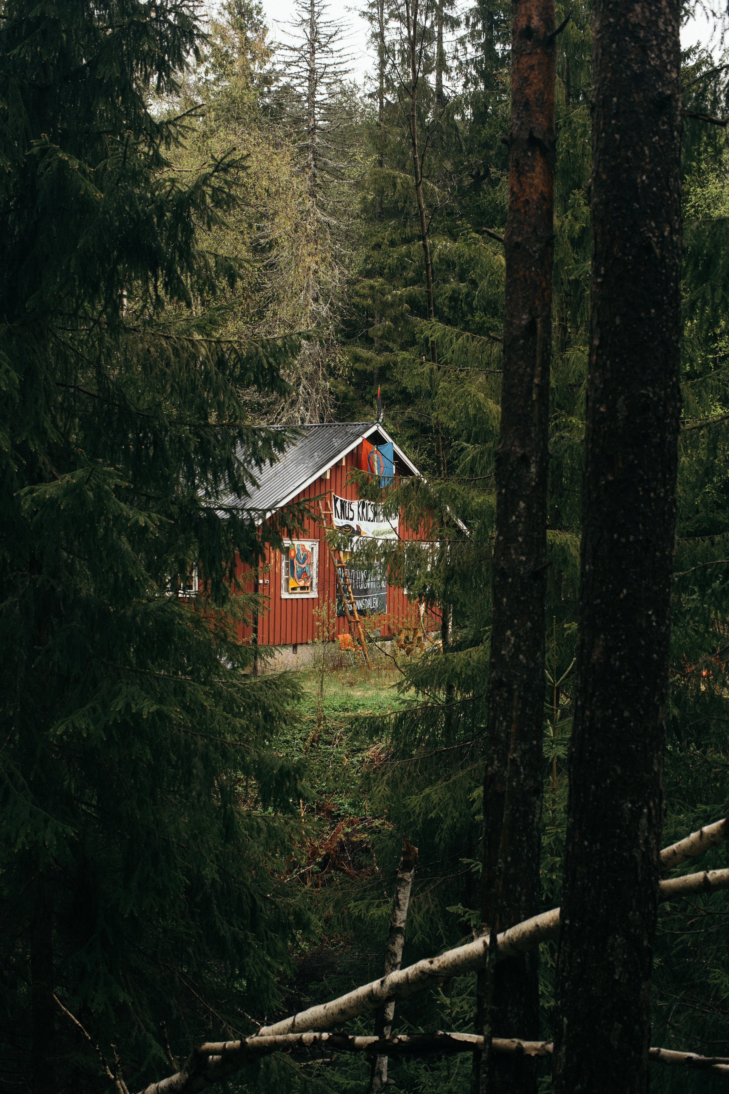 image4.jpg