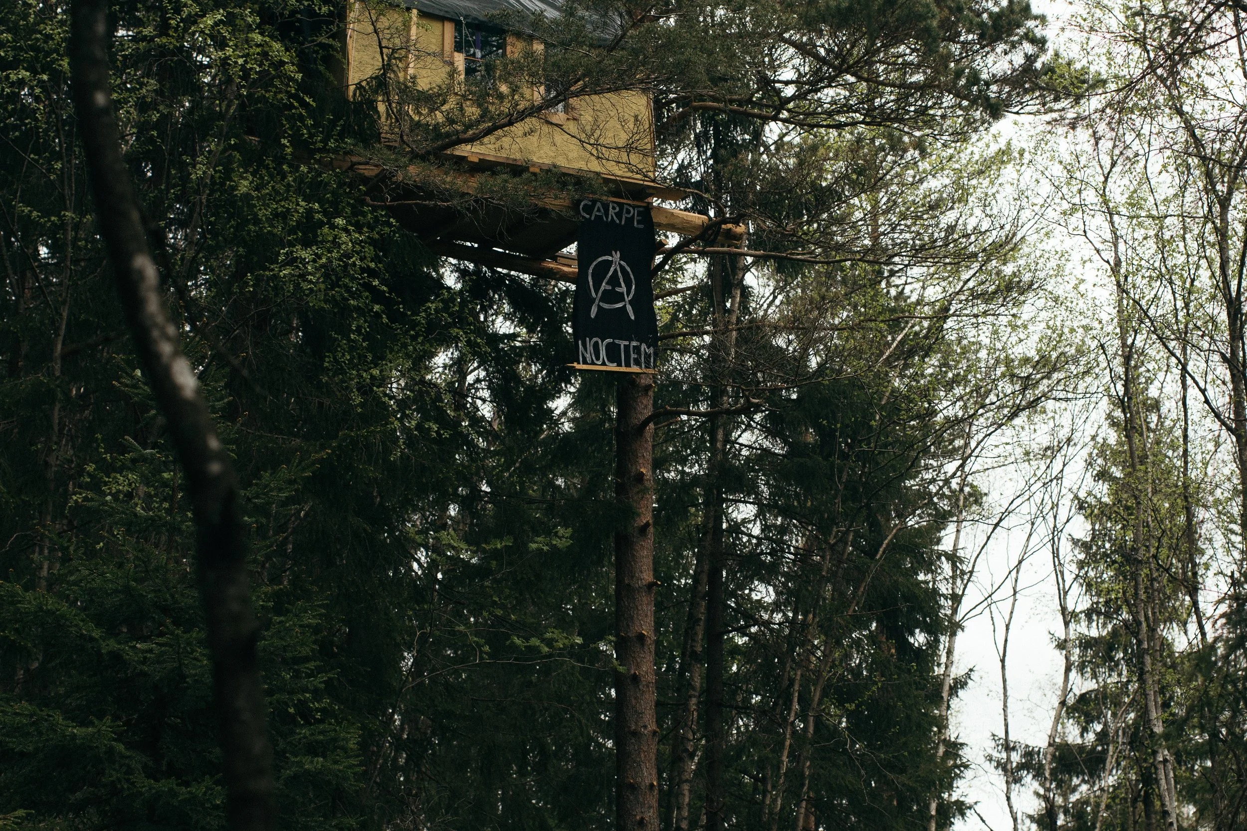 image8.jpg