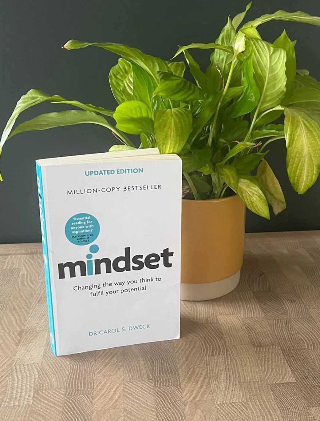 Mindset – Prof Carol Dweck