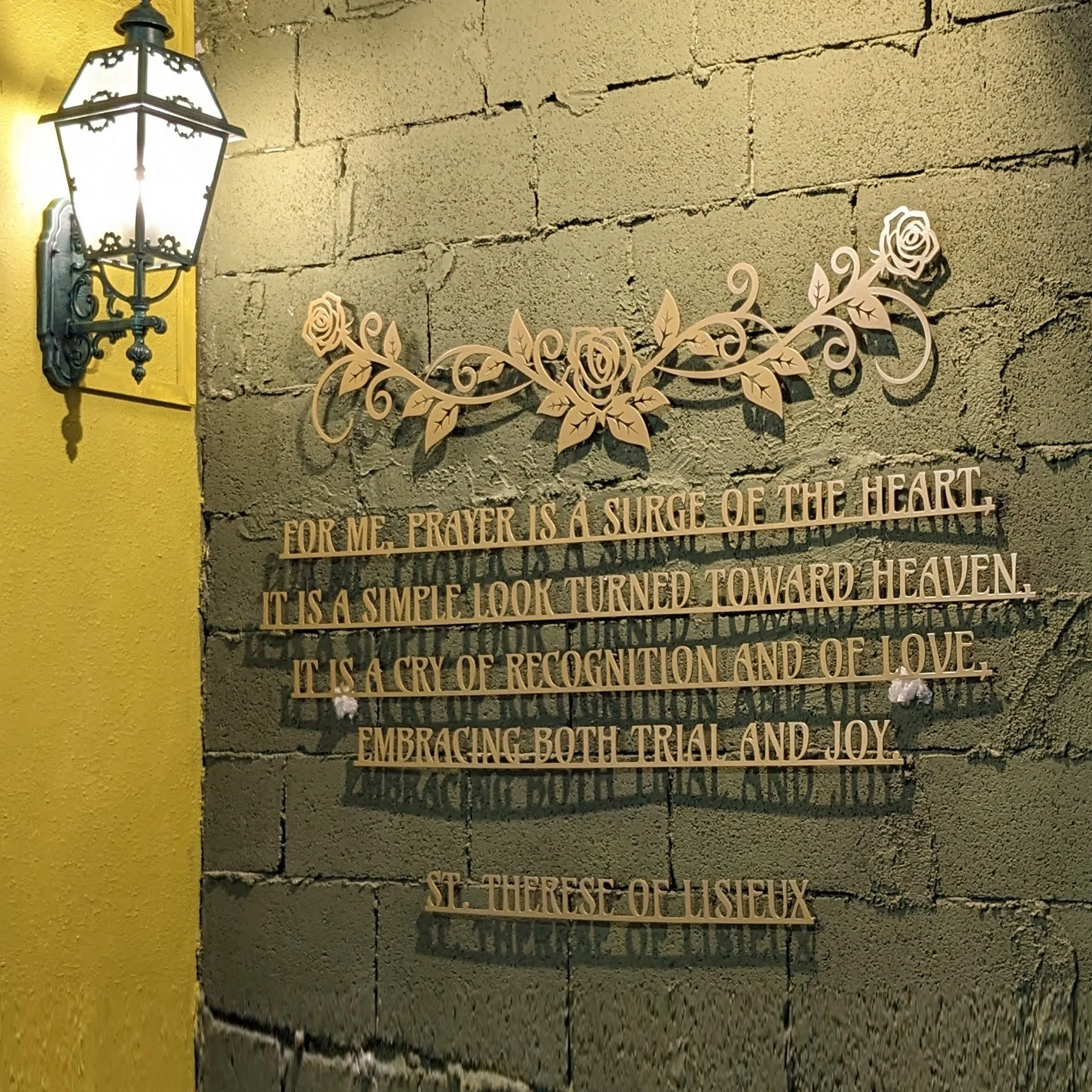 PXL_20230405_115554854.MP.jpg