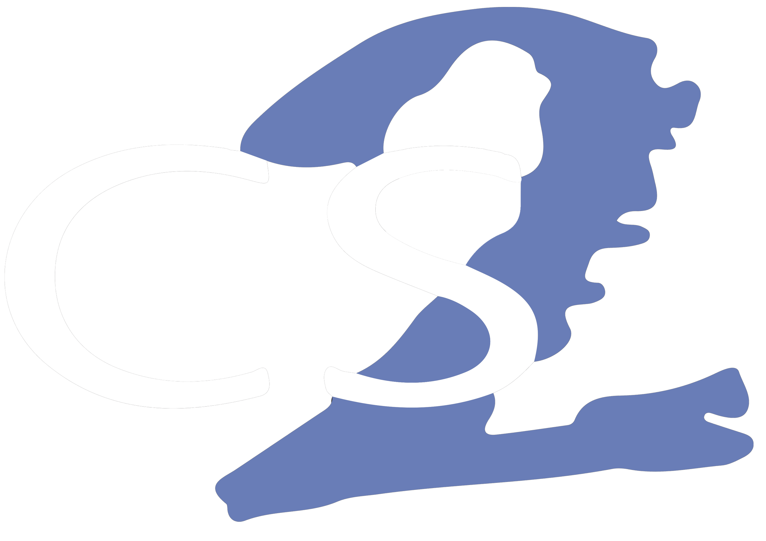 CS2 Logo.png