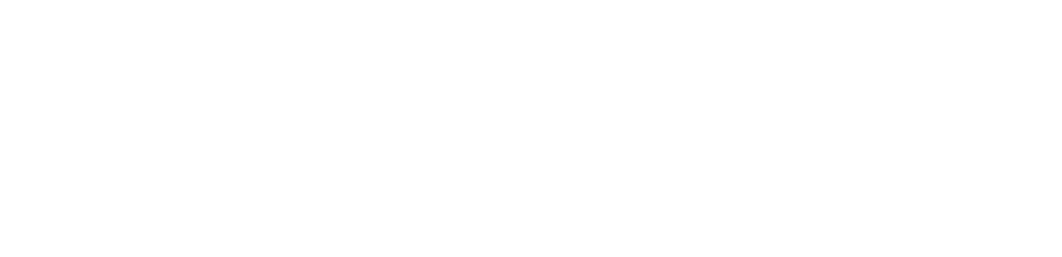 Hashmi & Co. Logo.png