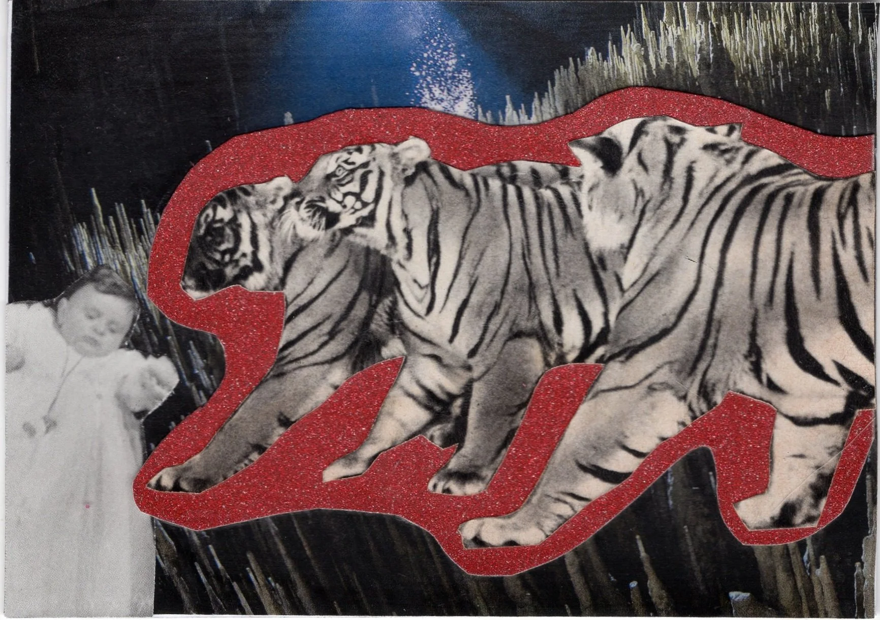 tiger, baby