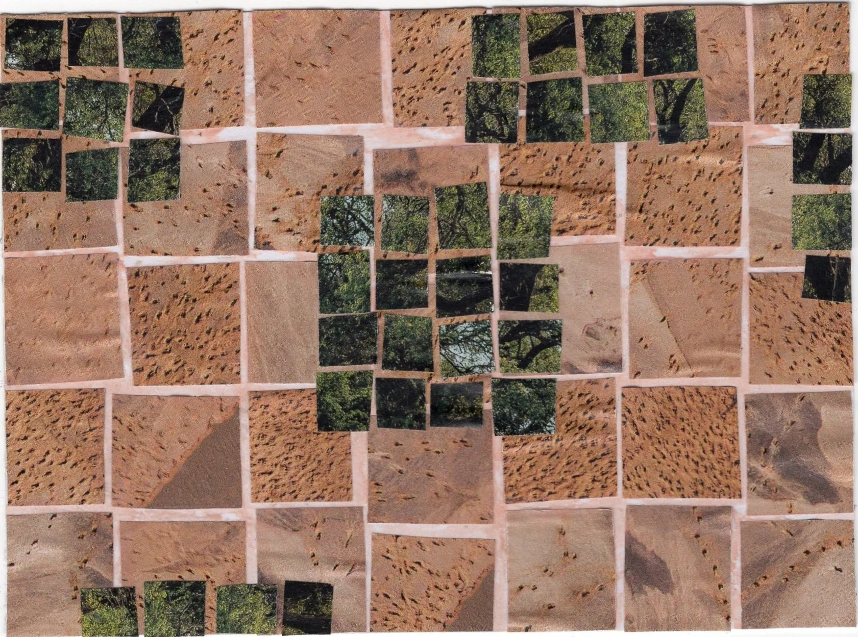 Summertime Squares