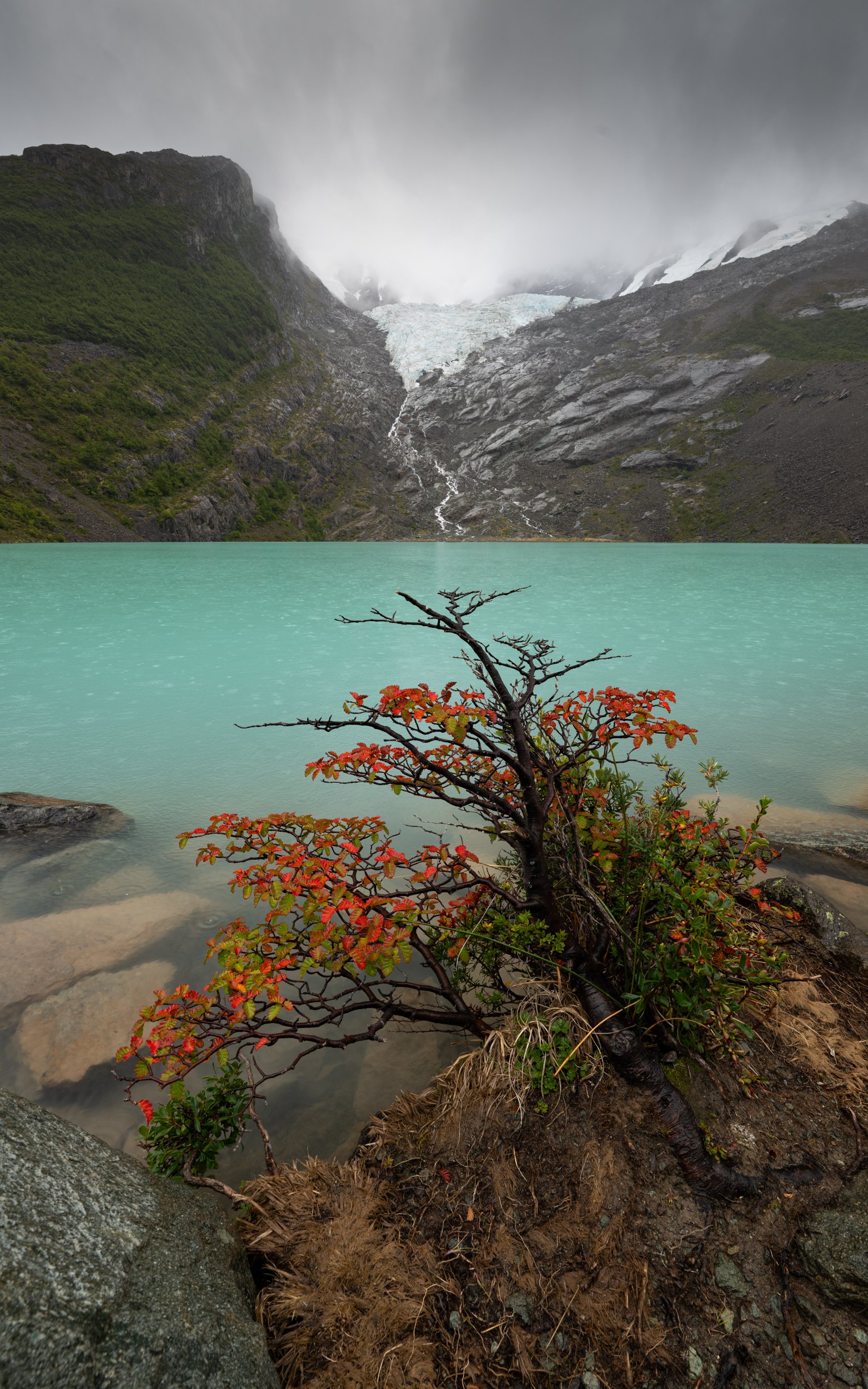 Fall at Laguna Huemul, Patagonia