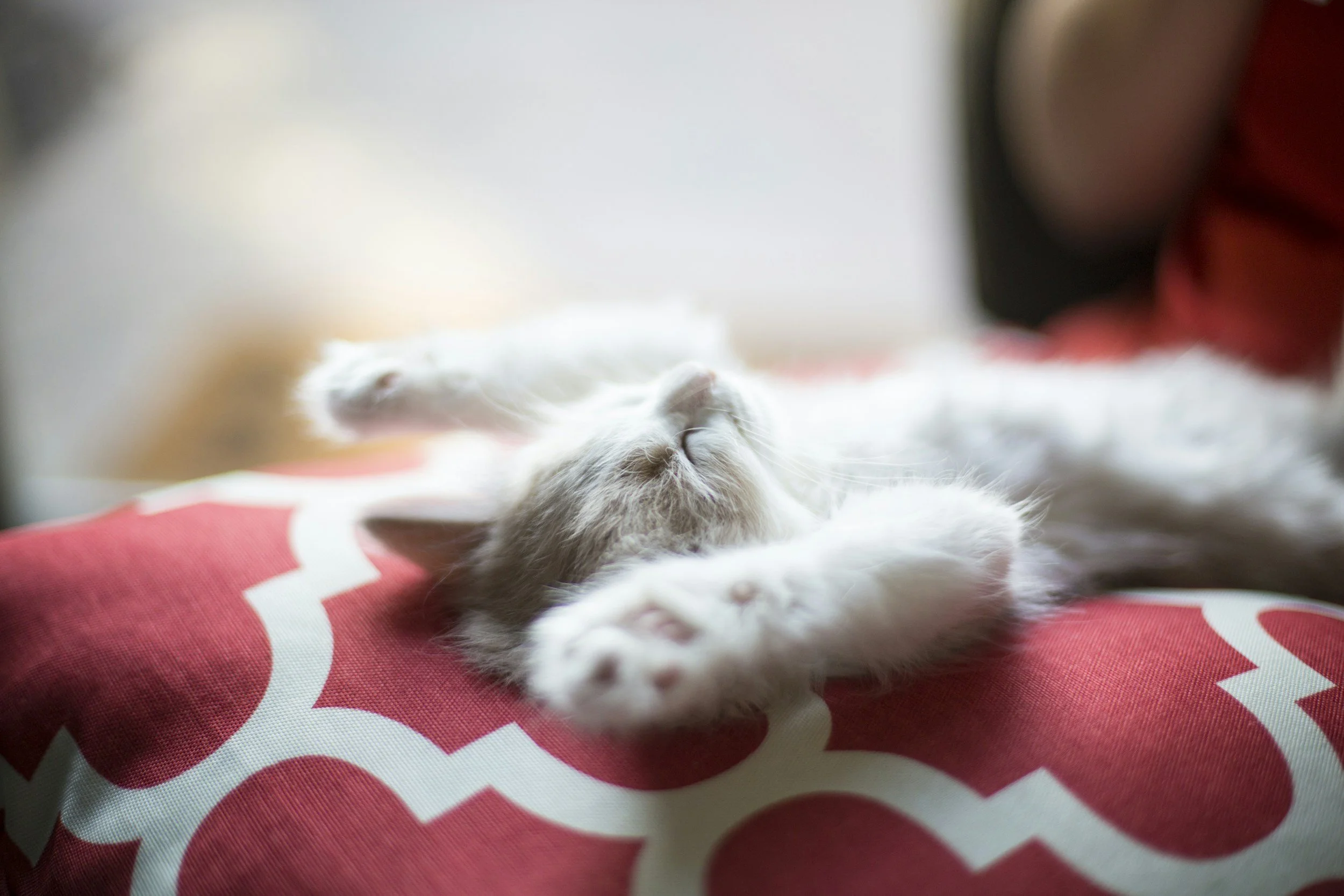 Sleep Deeply Again: Gentle Hypnotherapy for Better Sleep