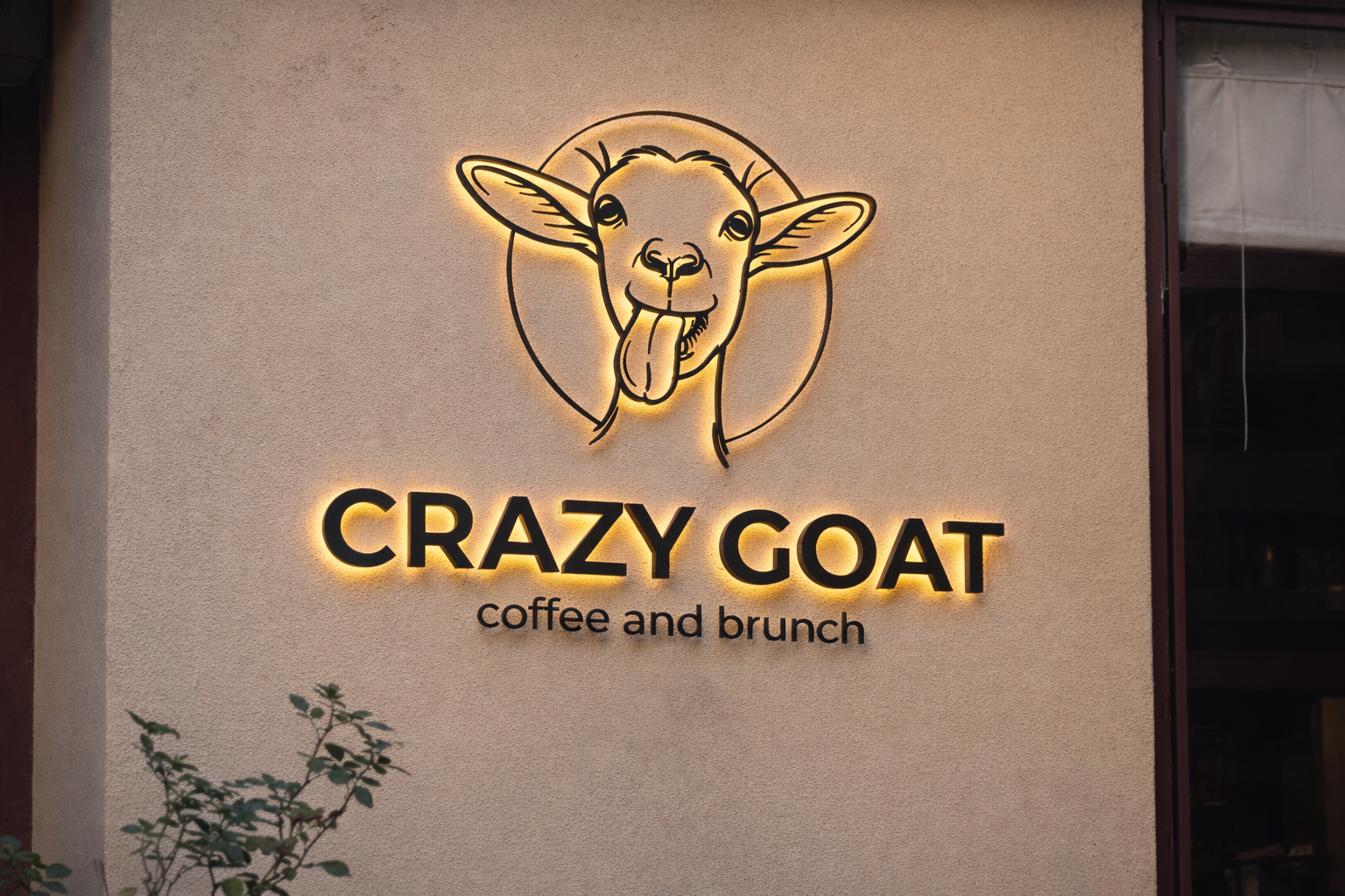 Crazy Goat