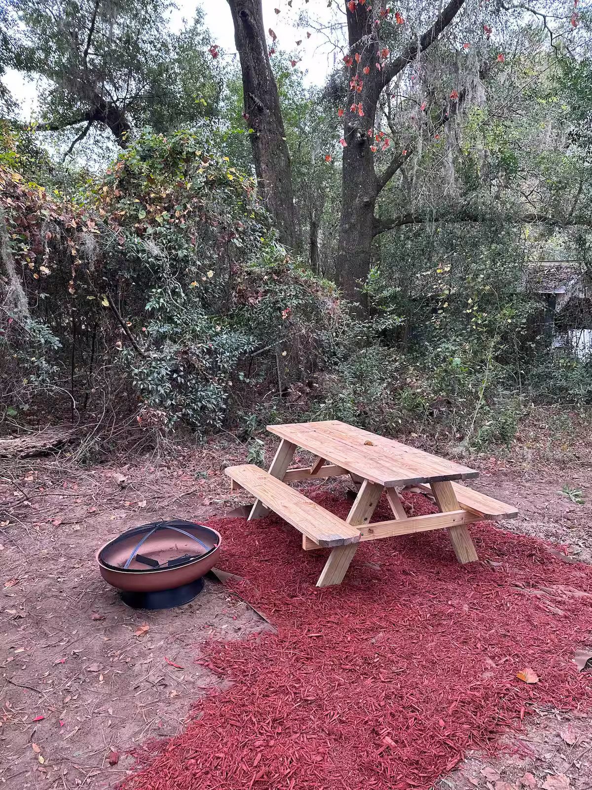 backyard table.jpg