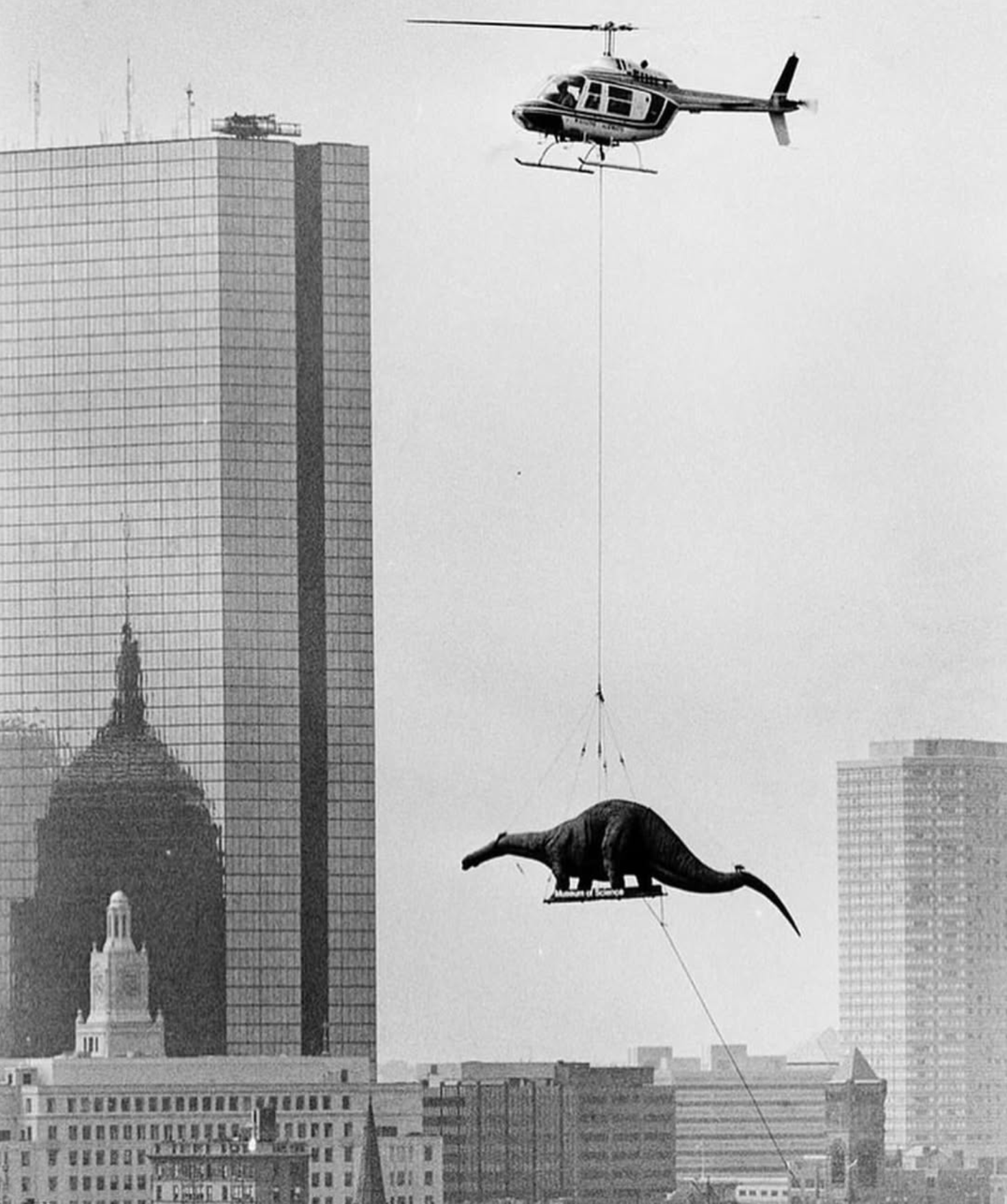 Hélicoptère transportant une statue de dinosaure au-dessus d'un paysage urbain.