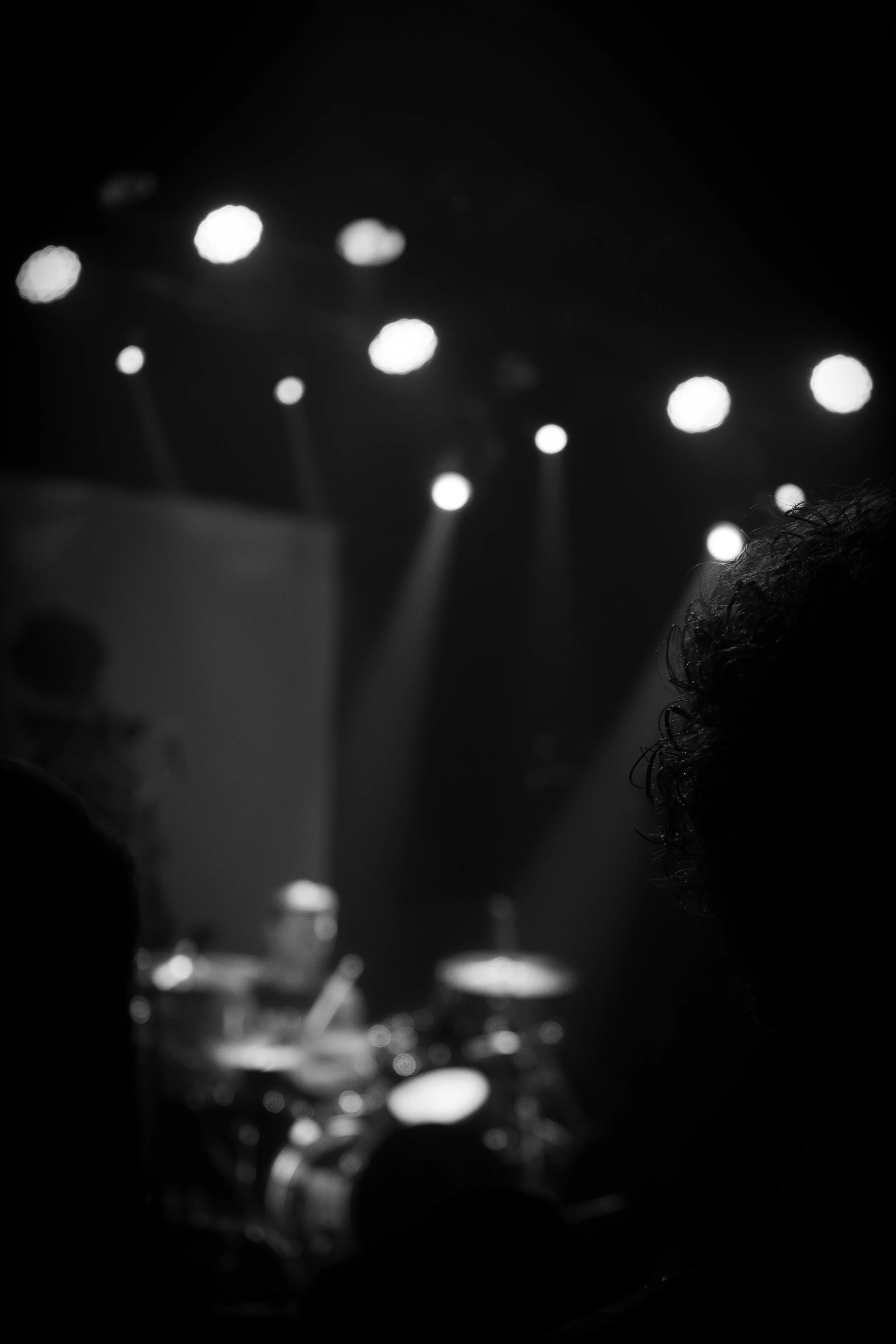 DSC08702.jpg
